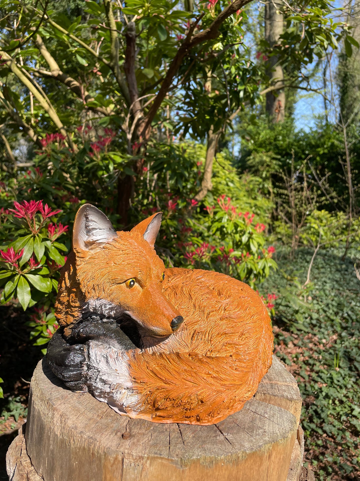 Beeld vos, tuin, vijver, gazon, boerderij 35cm