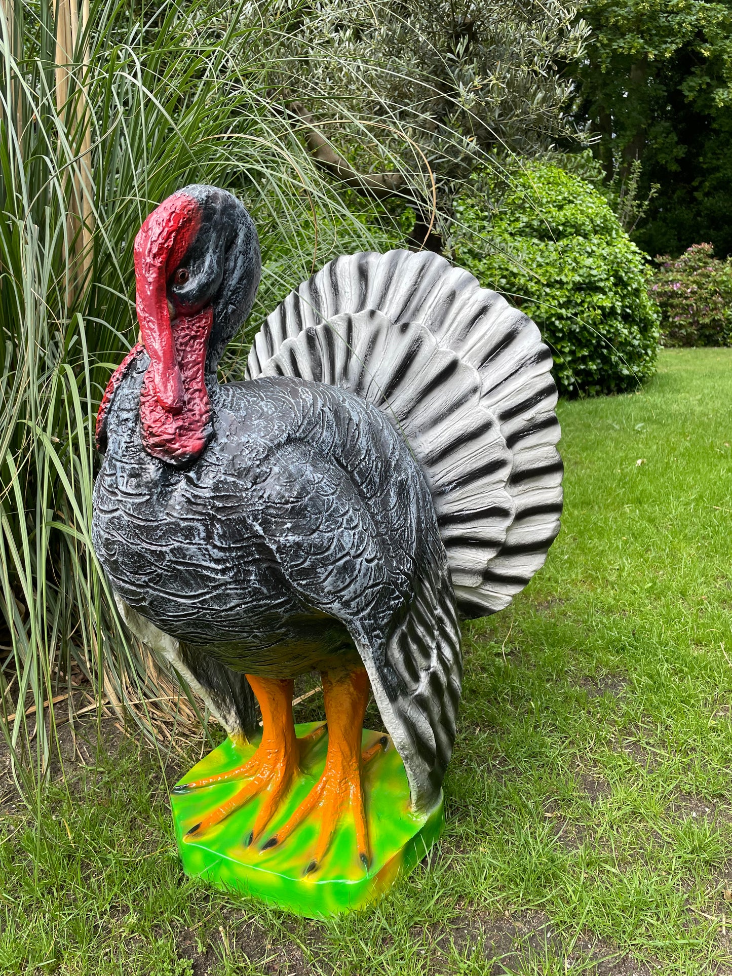 Kalkoen tuin, gazon, boerderij 90cm