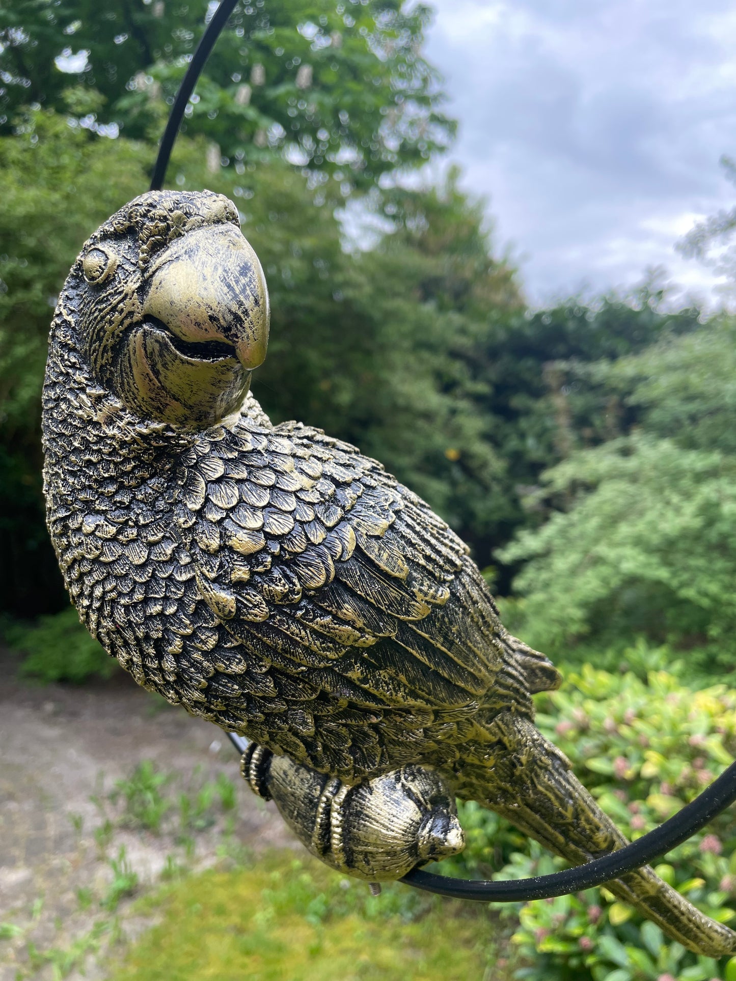 Beeld papegaai Goud tuin, zwembad, vijver, balkon 35cm