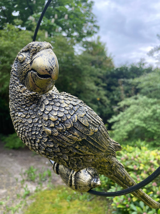 Beeld papegaai Goud tuin, zwembad, vijver, balkon 35cm