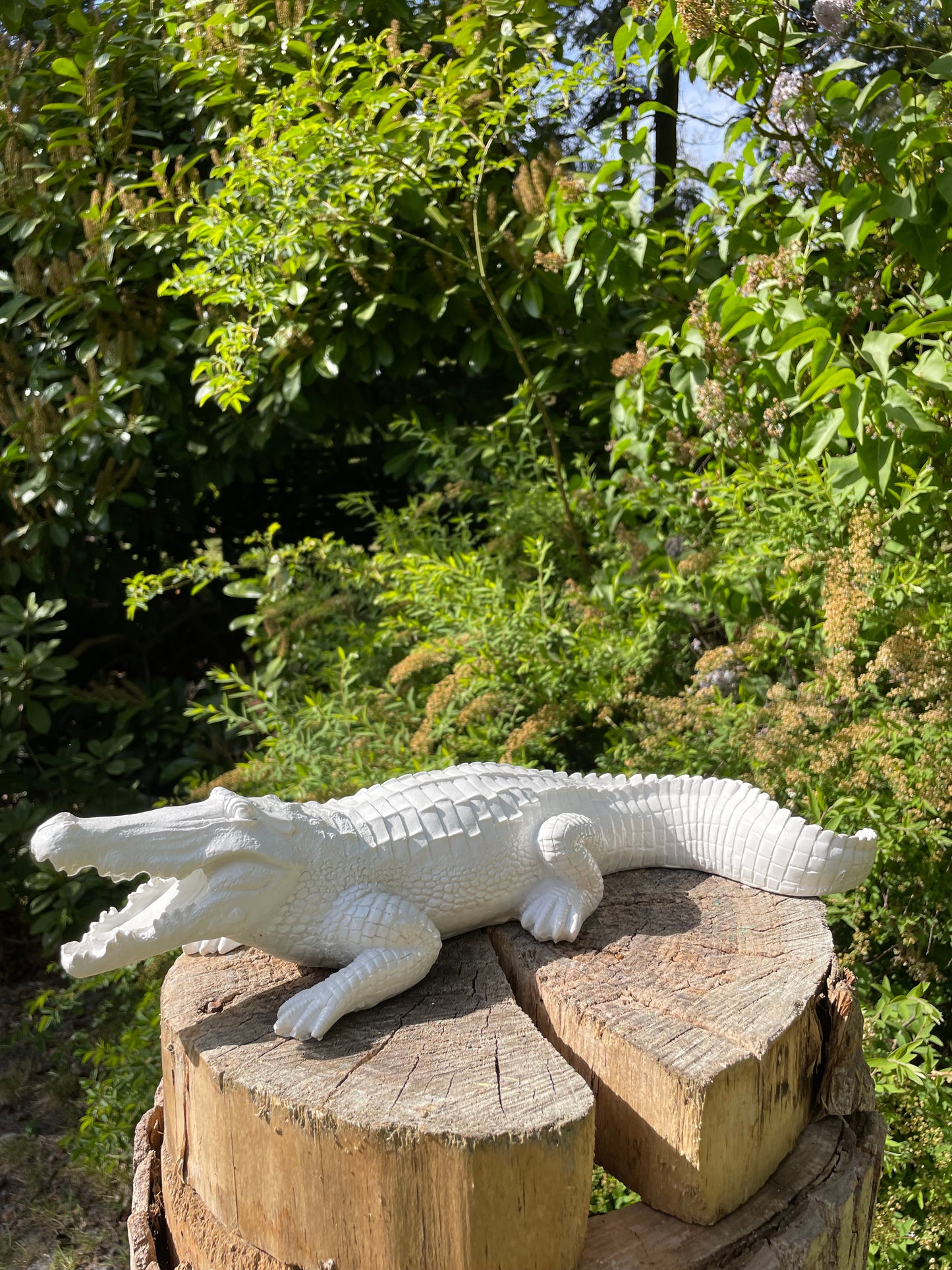 Beeld krokodil tuin, gazon, dierentuin, boerderij 45cm