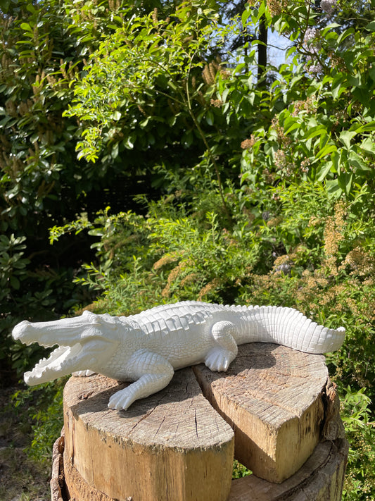 Beeld krokodil tuin, gazon, dierentuin, boerderij 45cm