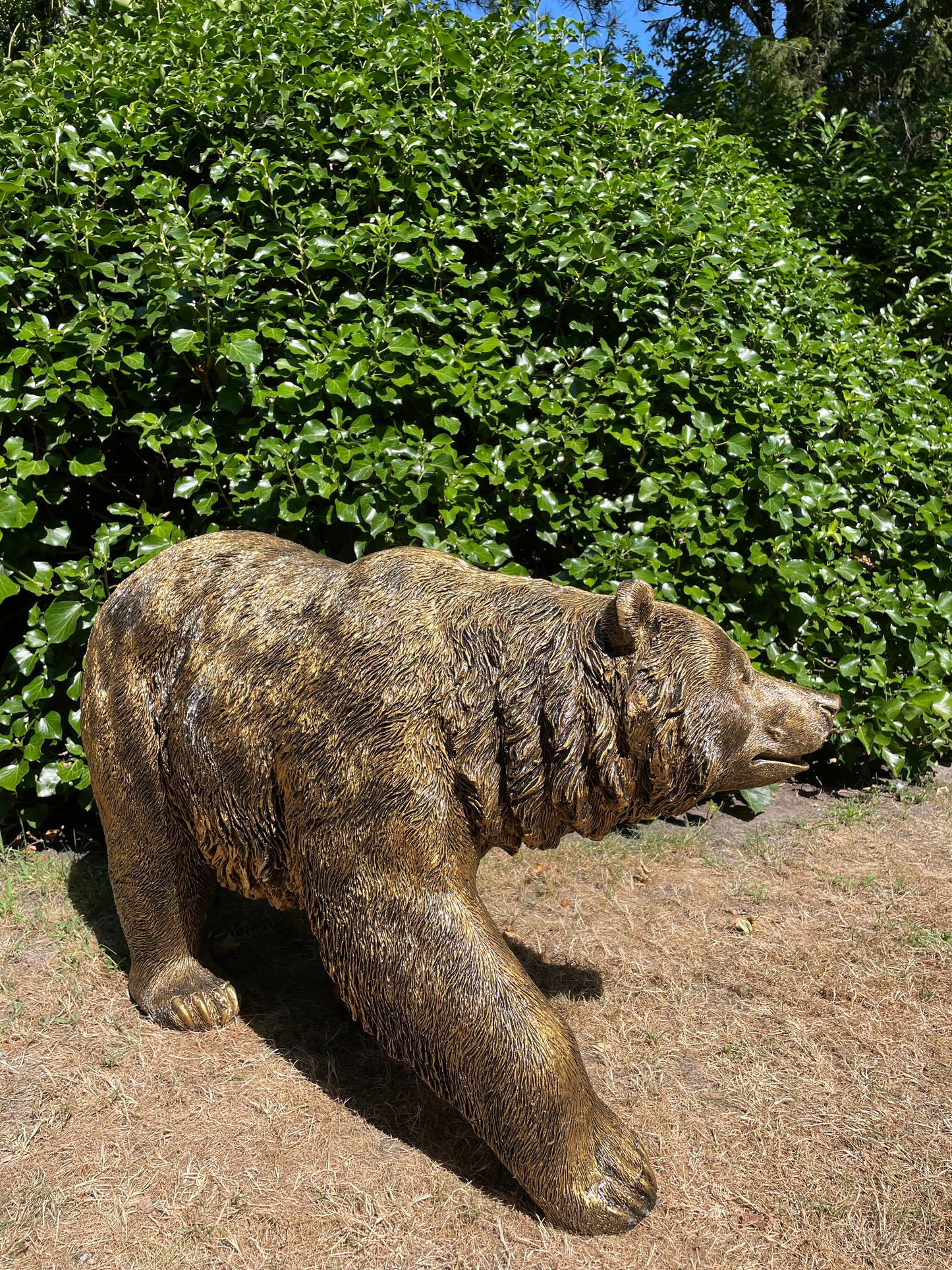 Grizzlybeer lopend brons, vijver, gazon, dierentuin, 110cm