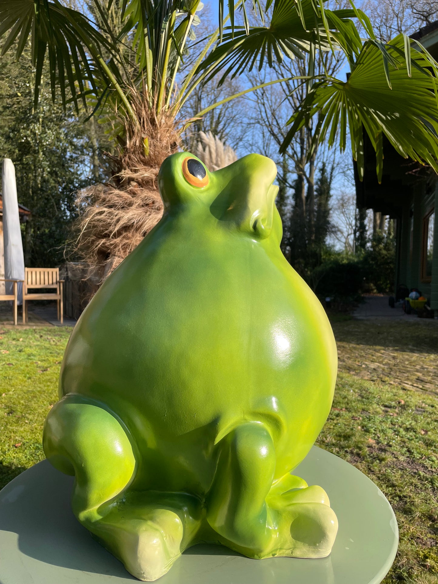 Beeld kikker, tuin, vijver, gazon, boerderij 55cm