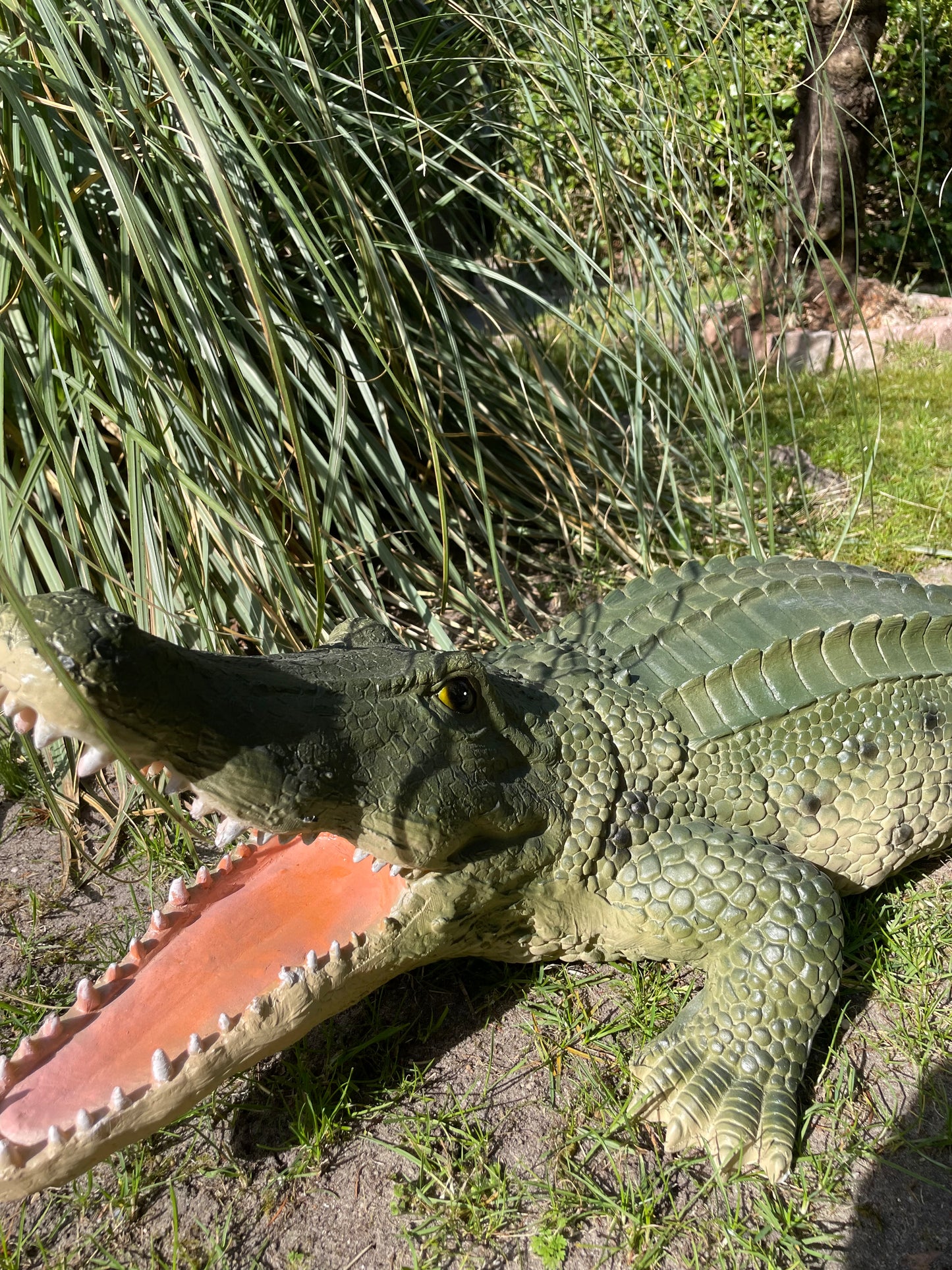 Beeld krokodil, Groen, zwembad, vijver, boerderij 100cm