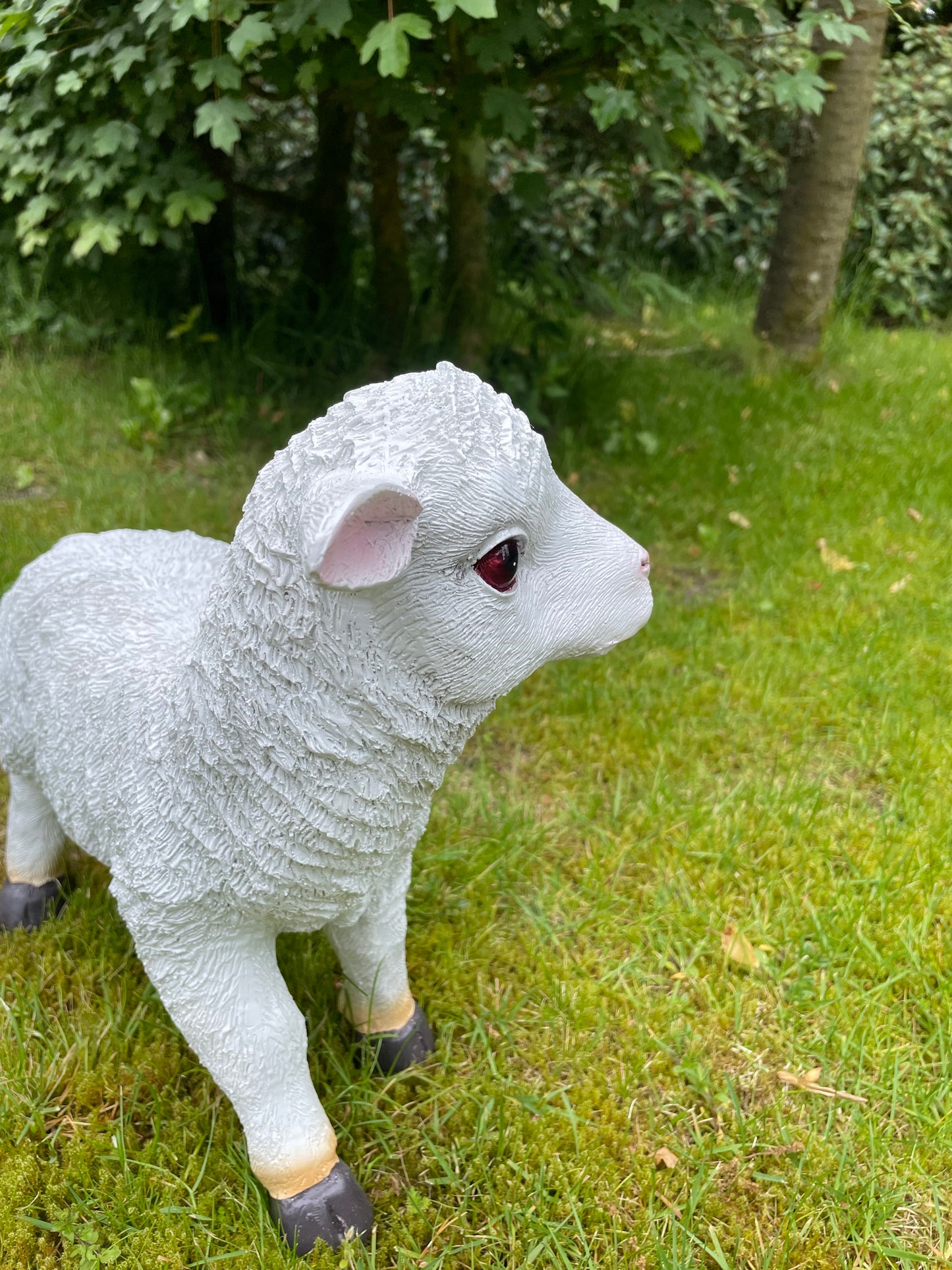 Beeld lammetje wit, tuin, gazon, boerderij  35cm