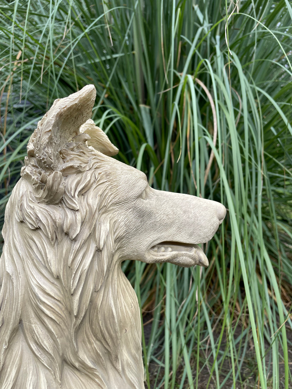 Collie Lassie hond 45cm