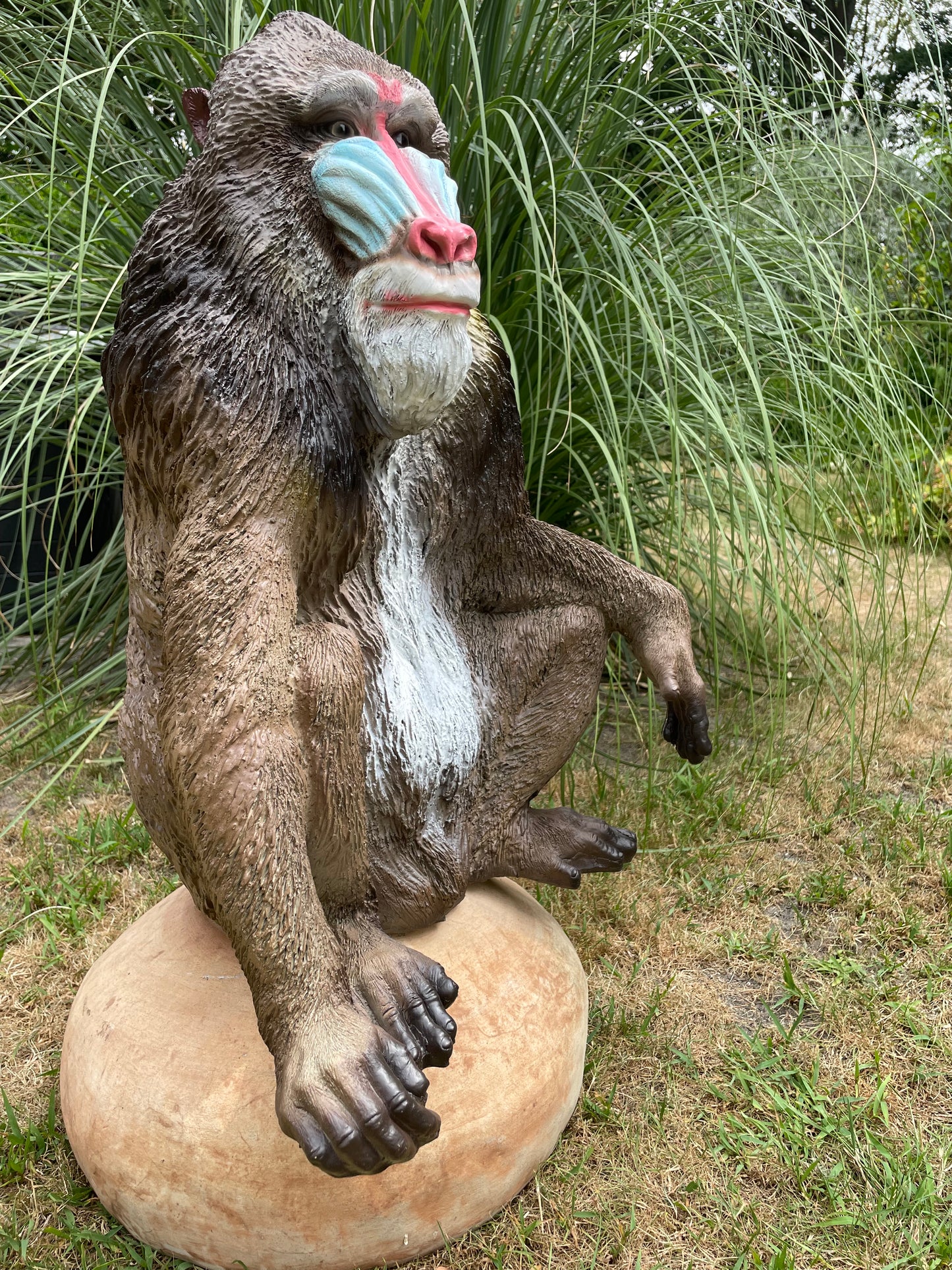 Mandril baviaan aap beeld tuin dierentuin 66cm