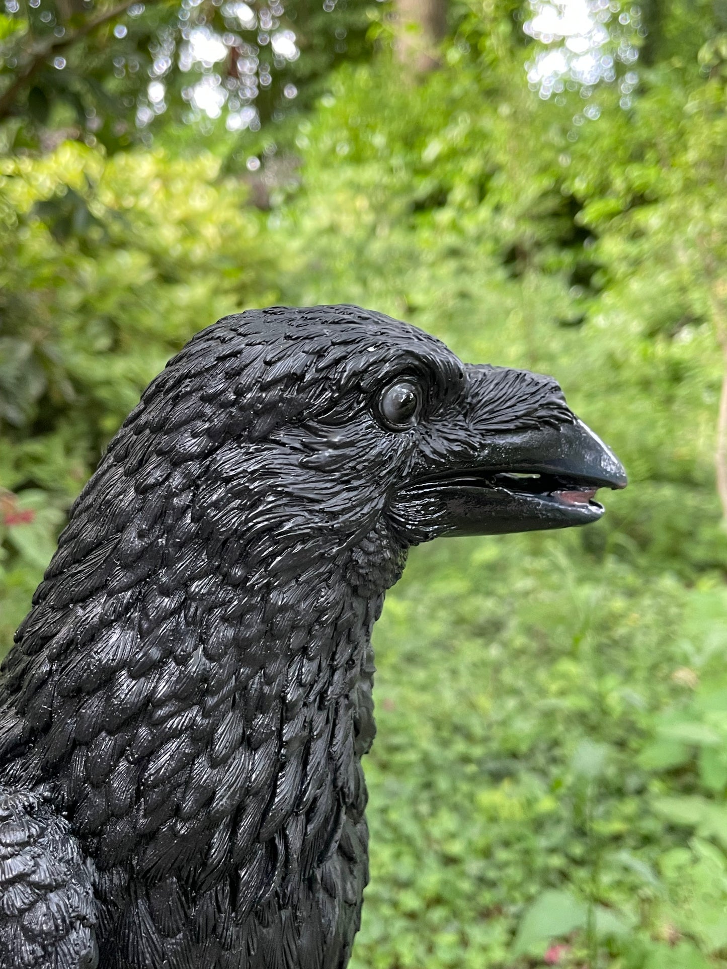 Kraai, Raaf, gazon, tuin, boerderij 35cm