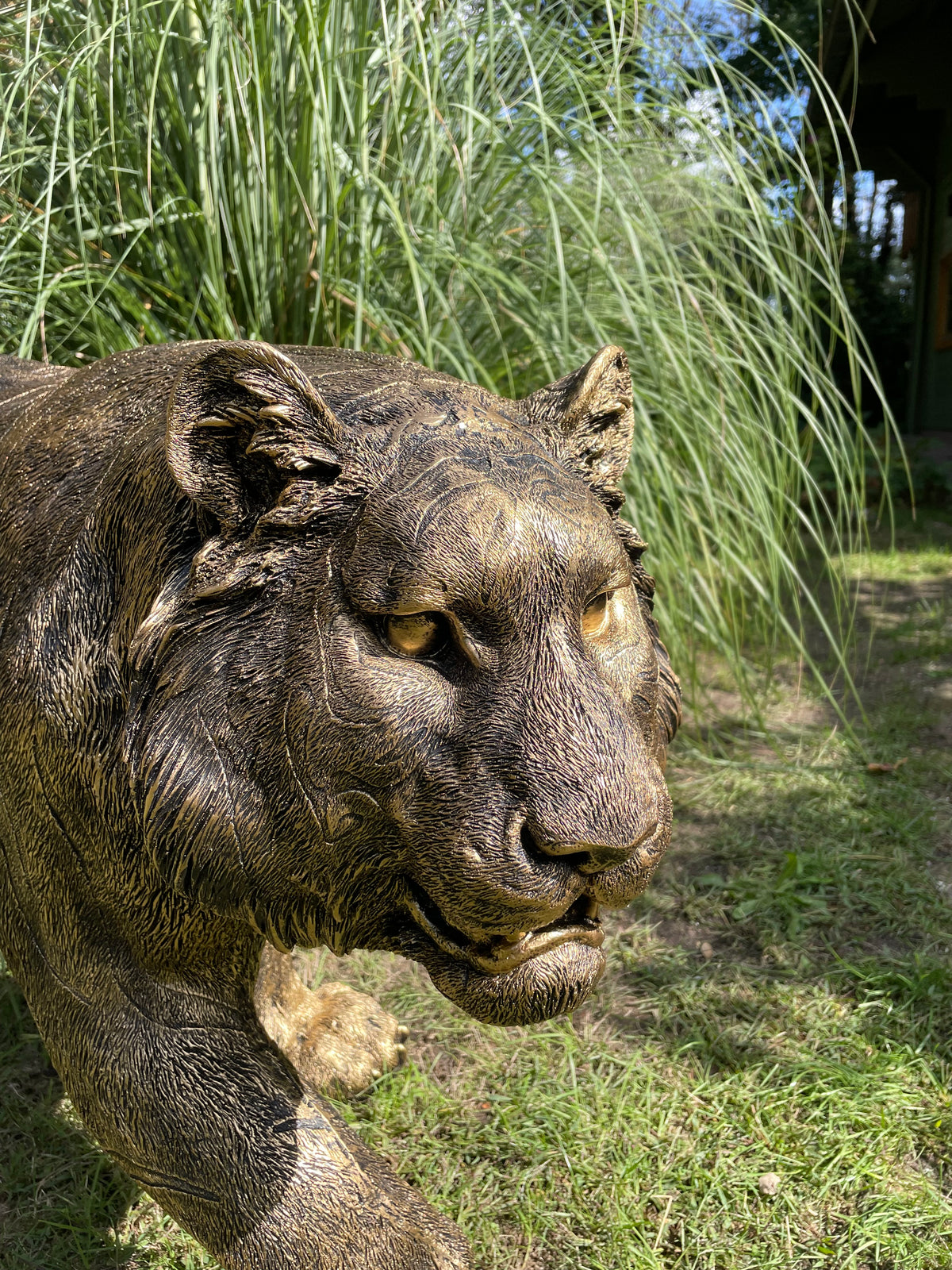 Tijger antiek goud gazon, tuin, dierentuin, 140cm