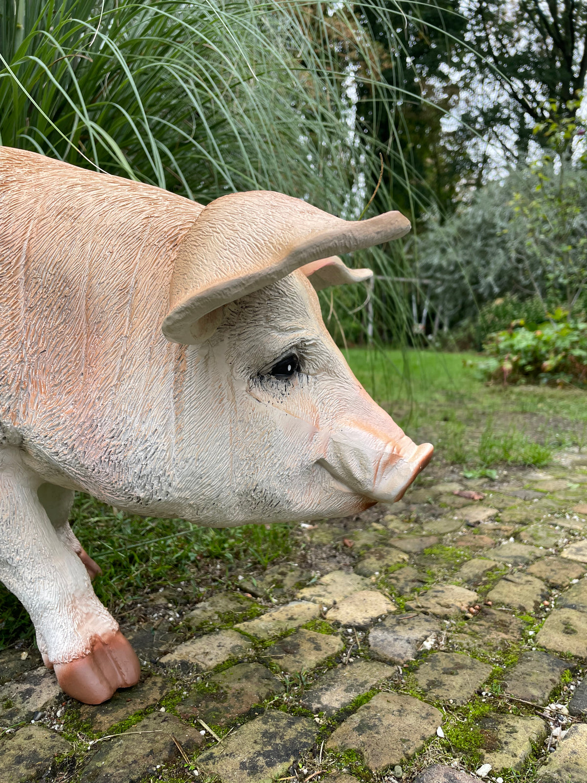 (Tuin)Beeld varken, tuin, gazon, manege, boerderij 85cm