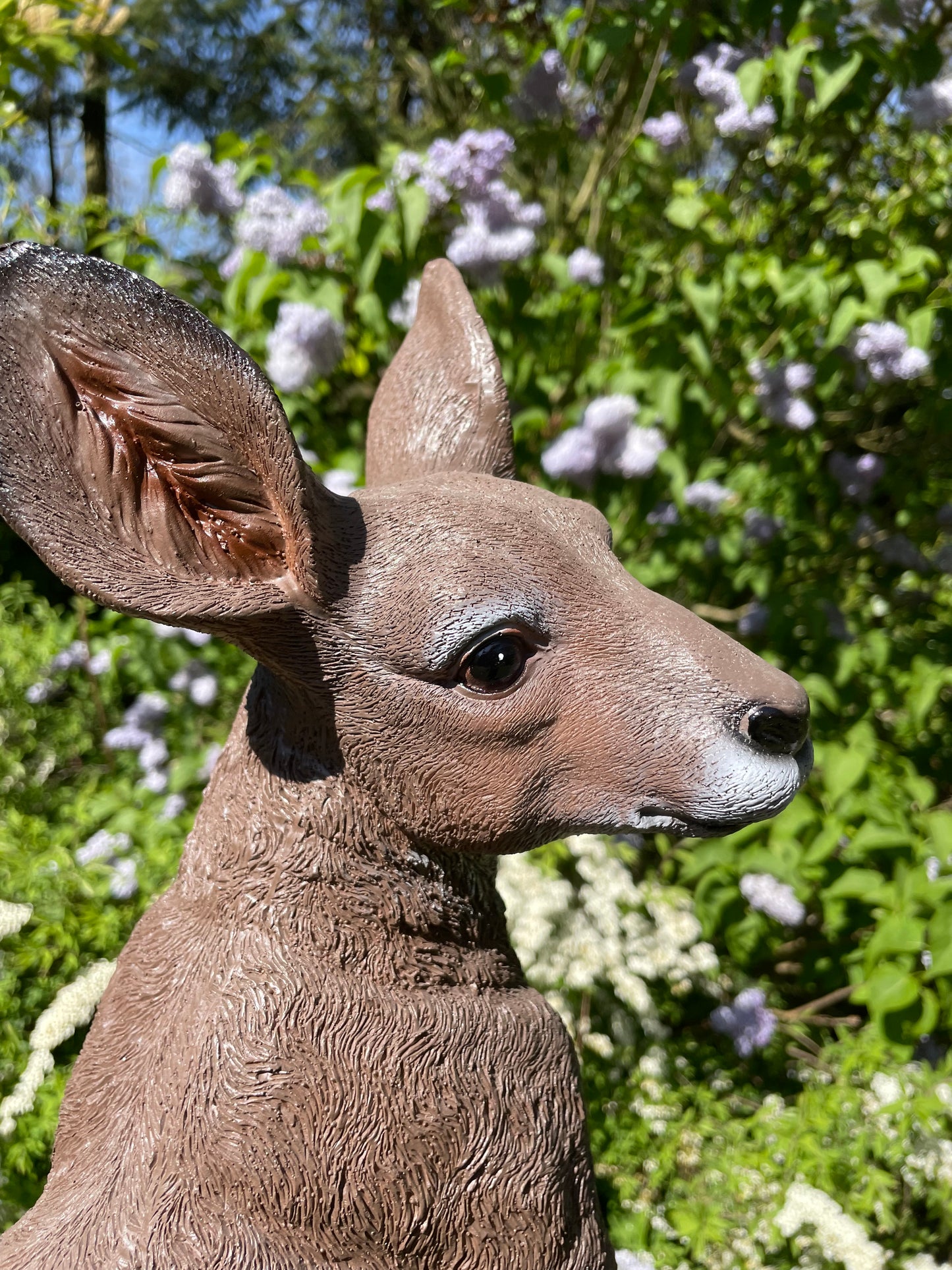 Beeld Kangoeroe groot tuin, vijver, boerderij, dierentuin 90cm