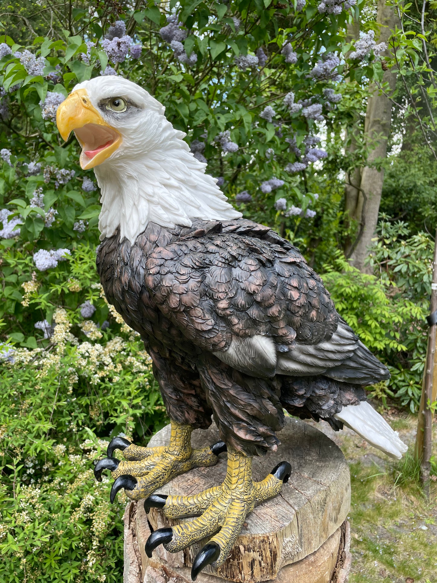 Beeld Arend groot, gazon, tuin, vijver, dierentuin 55cm