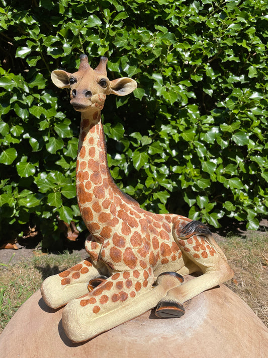 Giraf, liggend, tuin, woonkamer, dierentuin 32cm