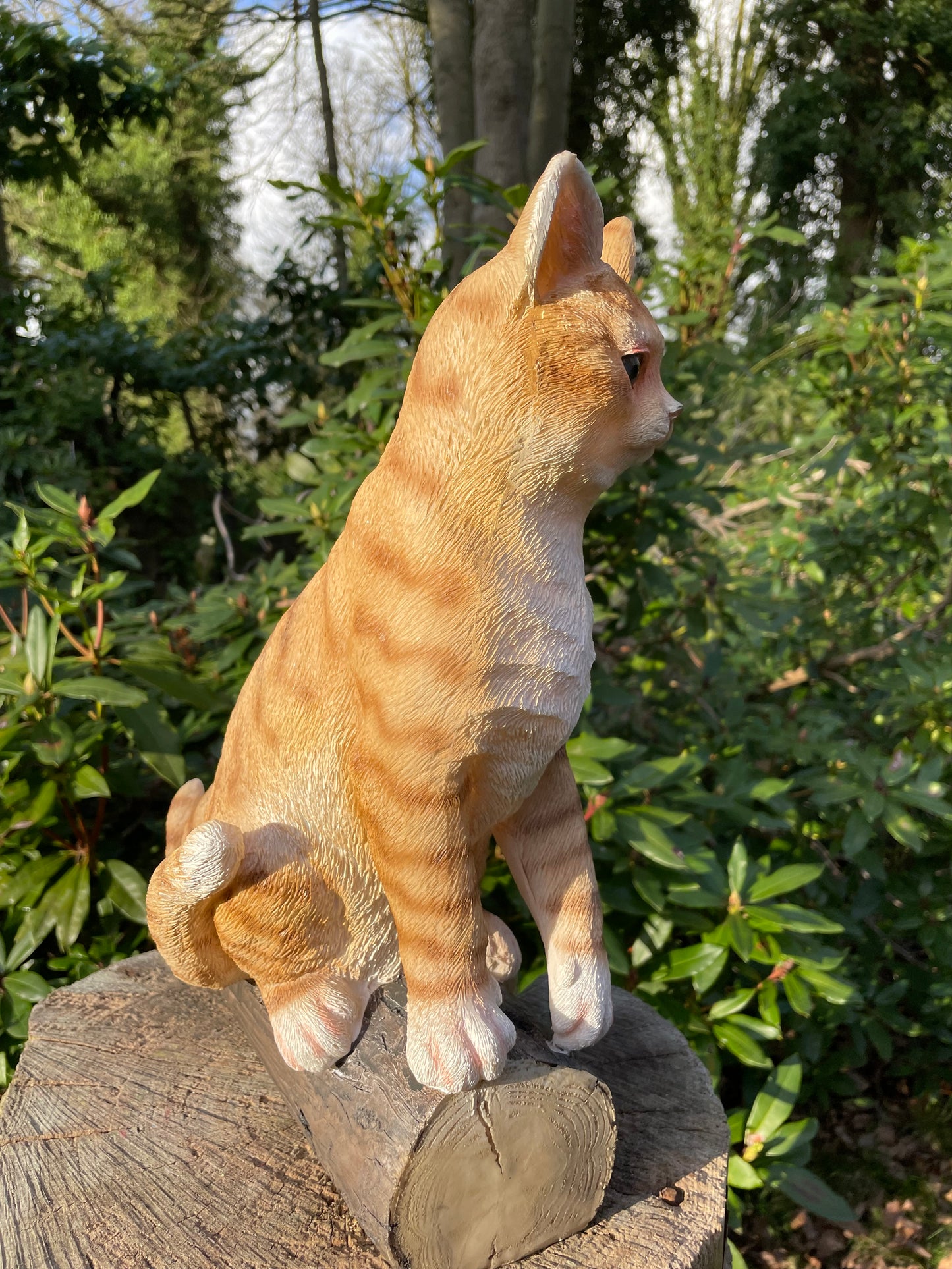 Poes, kitten boomstronk, tuin, gazon, boerderij 37cm