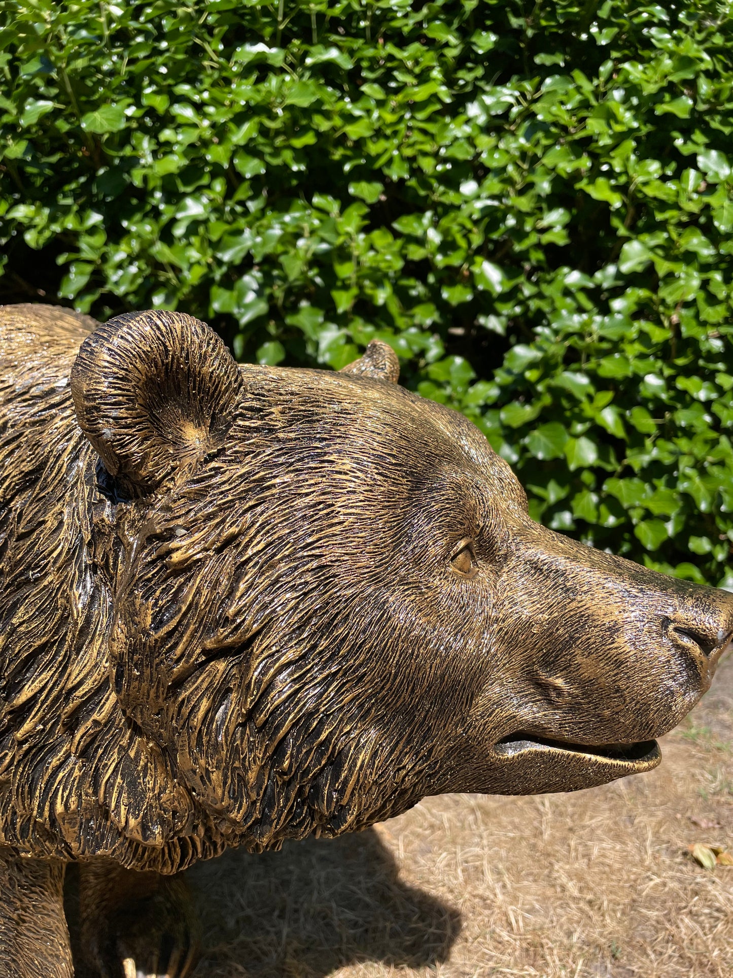 Grizzlybeer lopend brons, vijver, gazon, dierentuin, 110cm