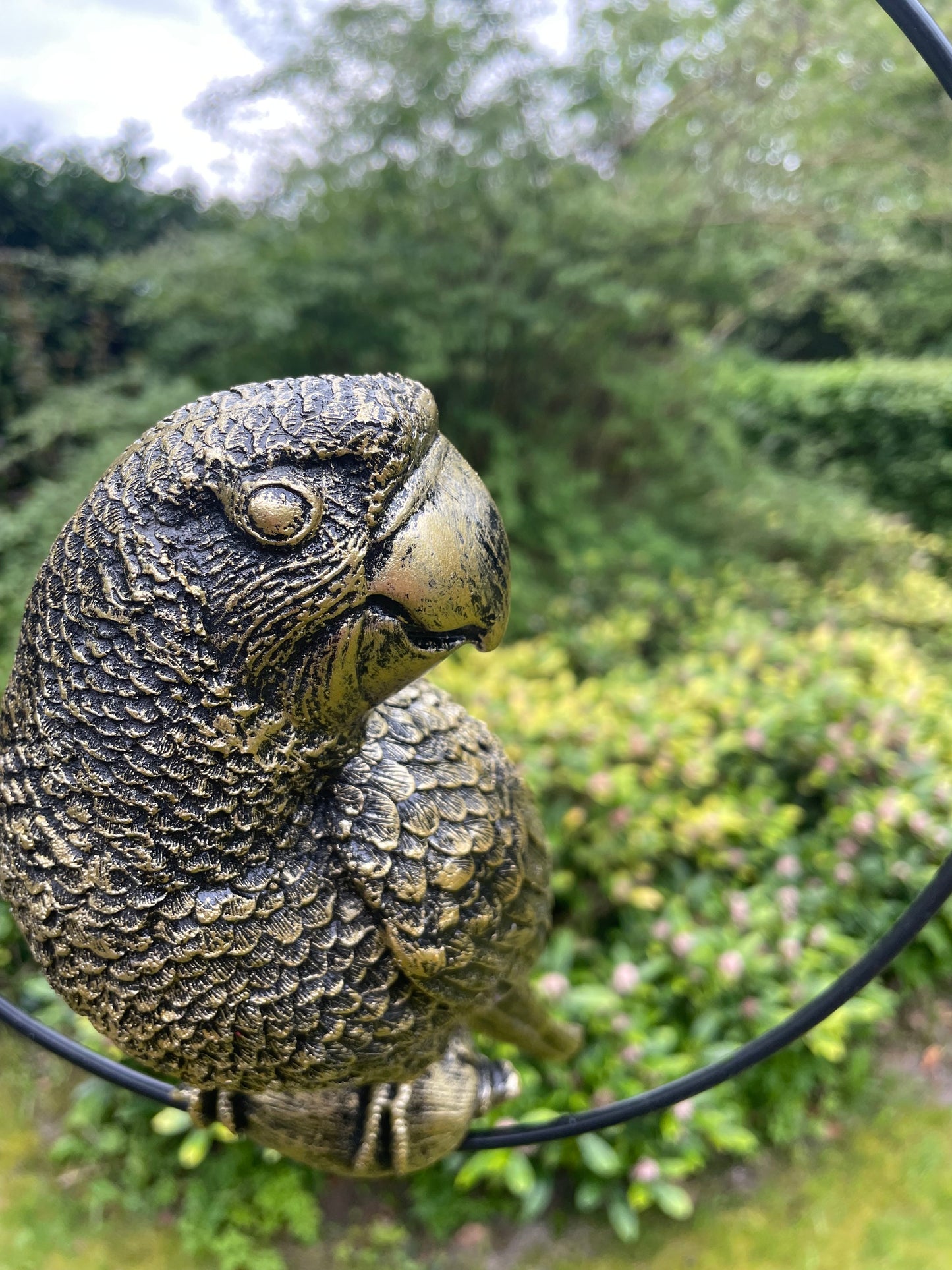Beeld papegaai Goud tuin, zwembad, vijver, balkon 35cm