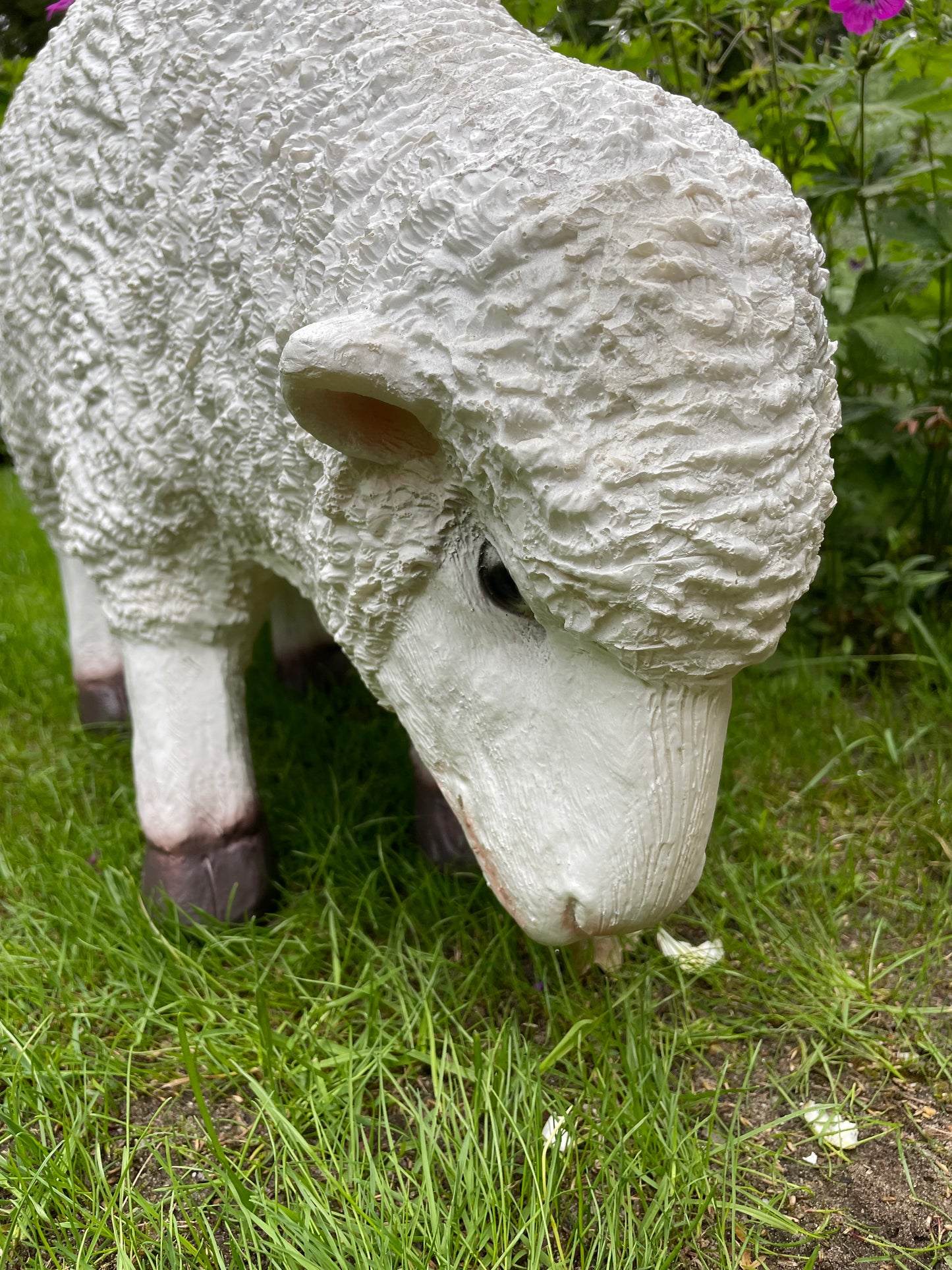 Set Merino wolschapen, gazon, tuin, boerderij 70-65cm