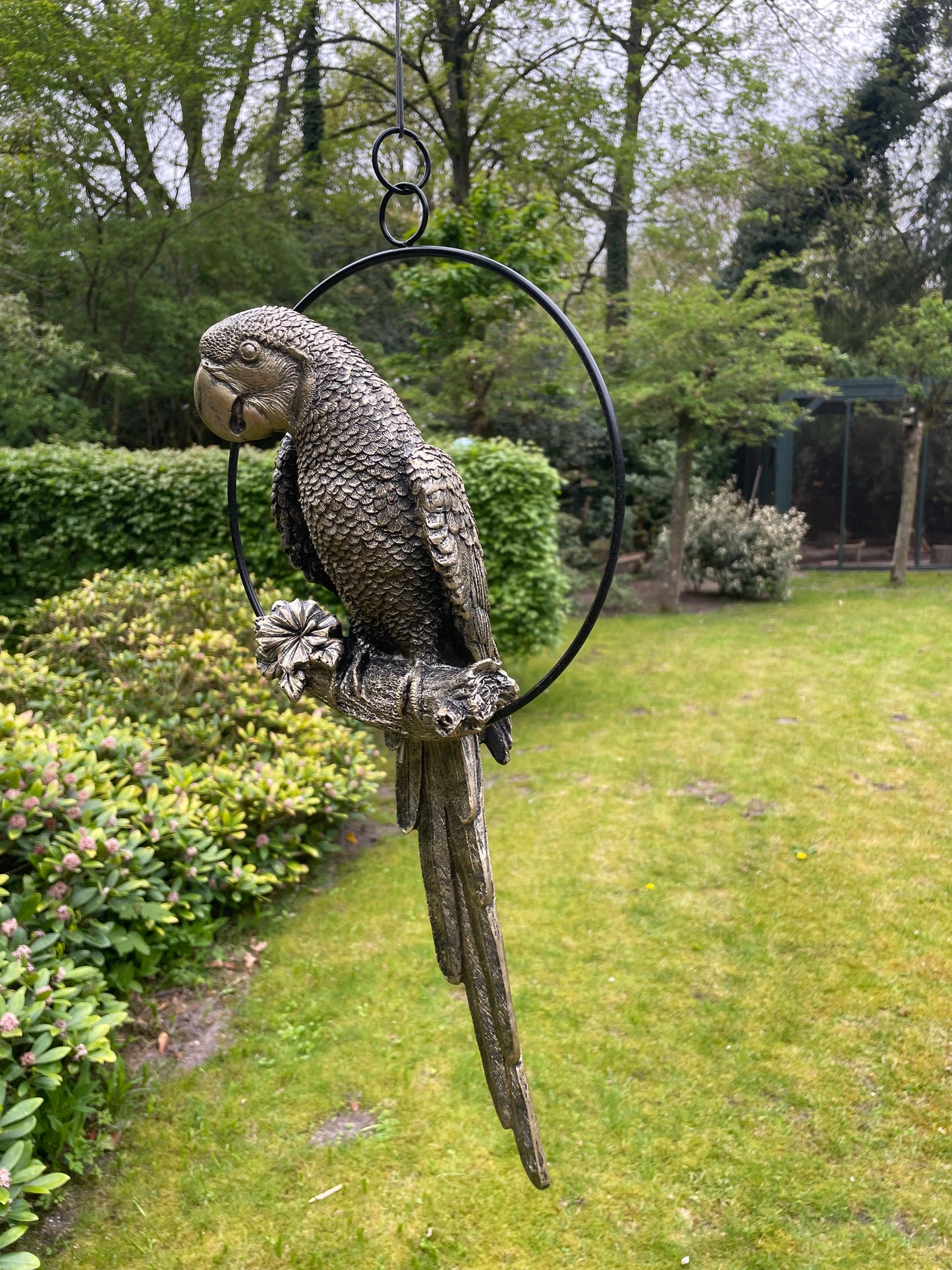 Beeld papegaai Antiek Goud, zwembad, vijver, tuin, balkon 50cm
