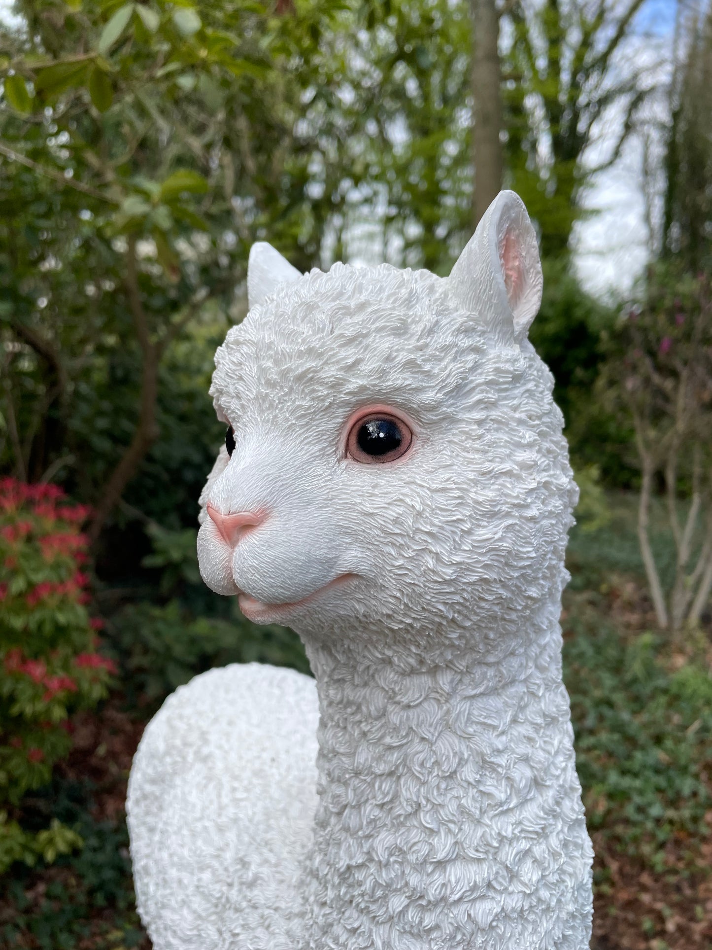 (Tuin)Beeld alpaca, lama, tuin, gazon, manege, boerderij 55cm