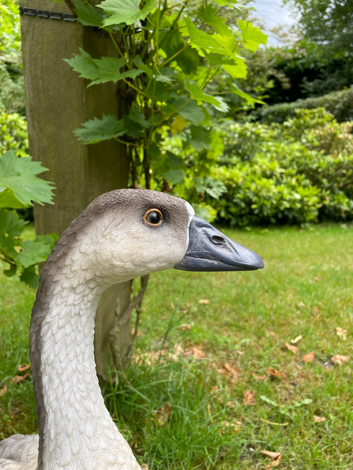 Beeld Gans bruin-grijs-wit, tuin, zwembad, vijver, boerderij 60cm