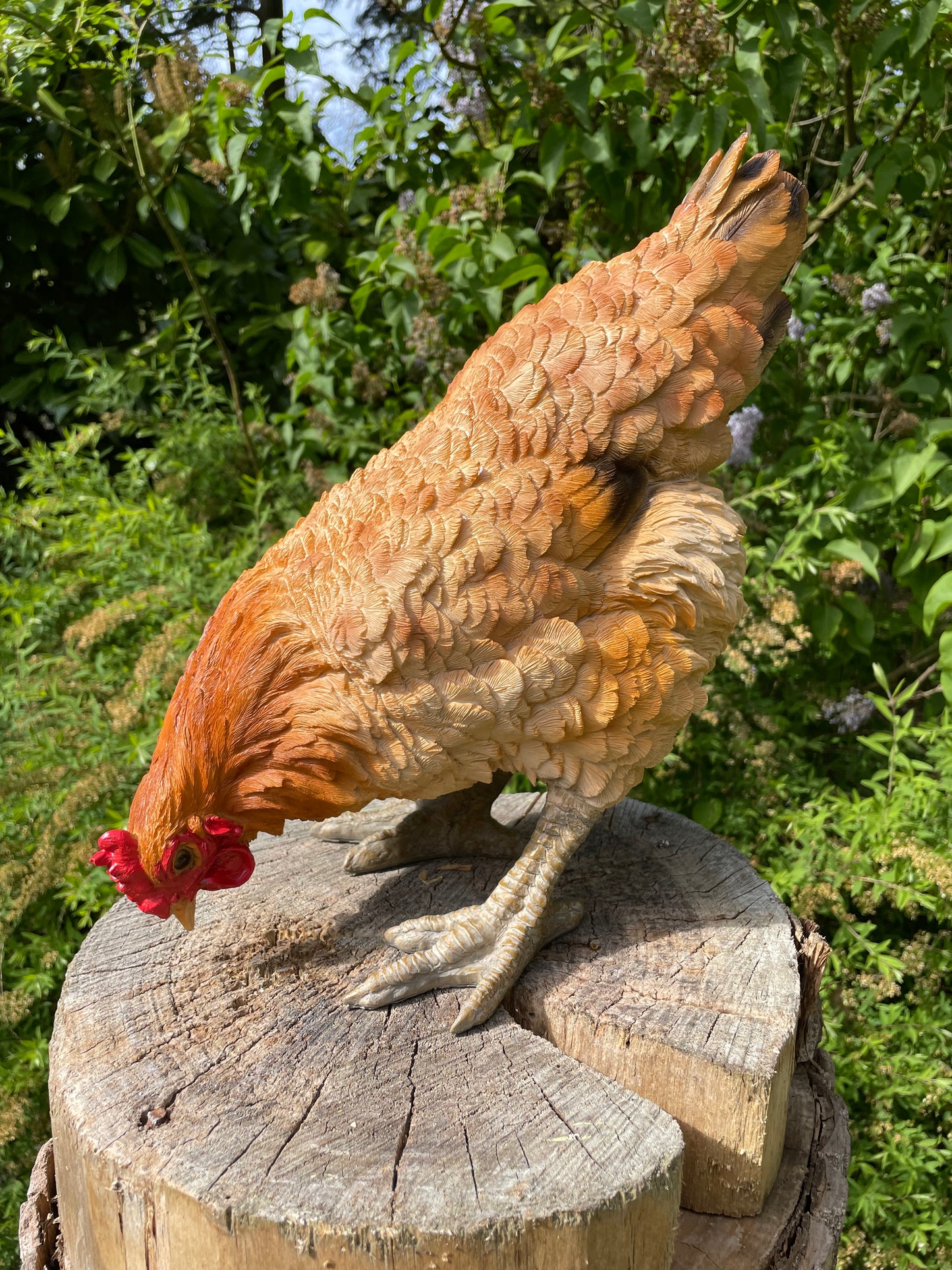 Beeld kip, pikkend, bruin, tuin, gazon, boerderij 35cm
