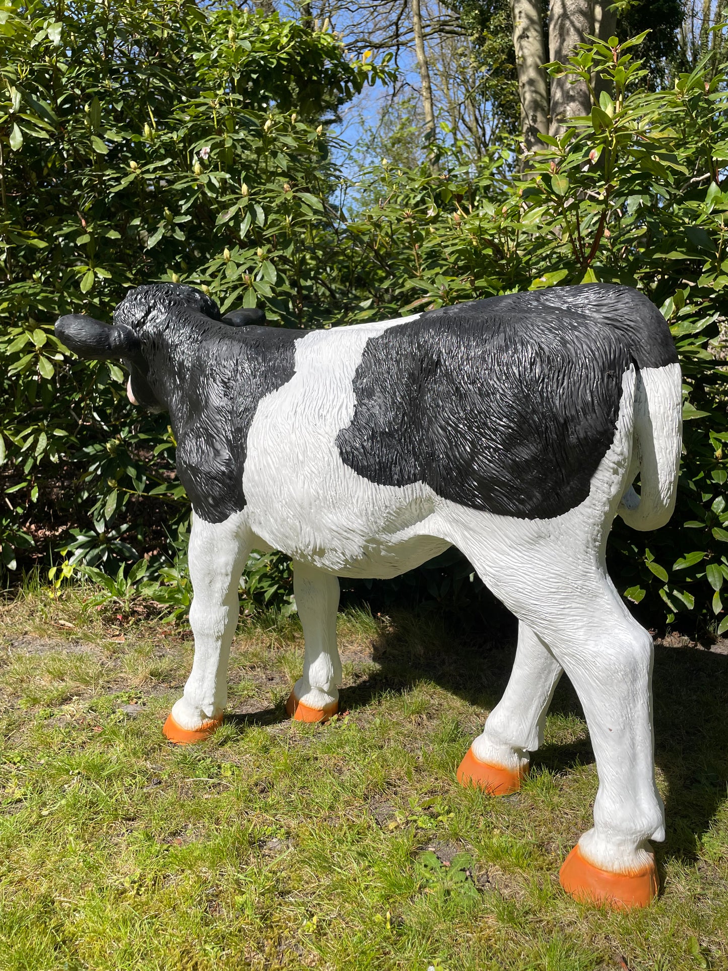 Beeld set kalf, Koe tuin, vijver, boerderij, dierentuin 75-105cm