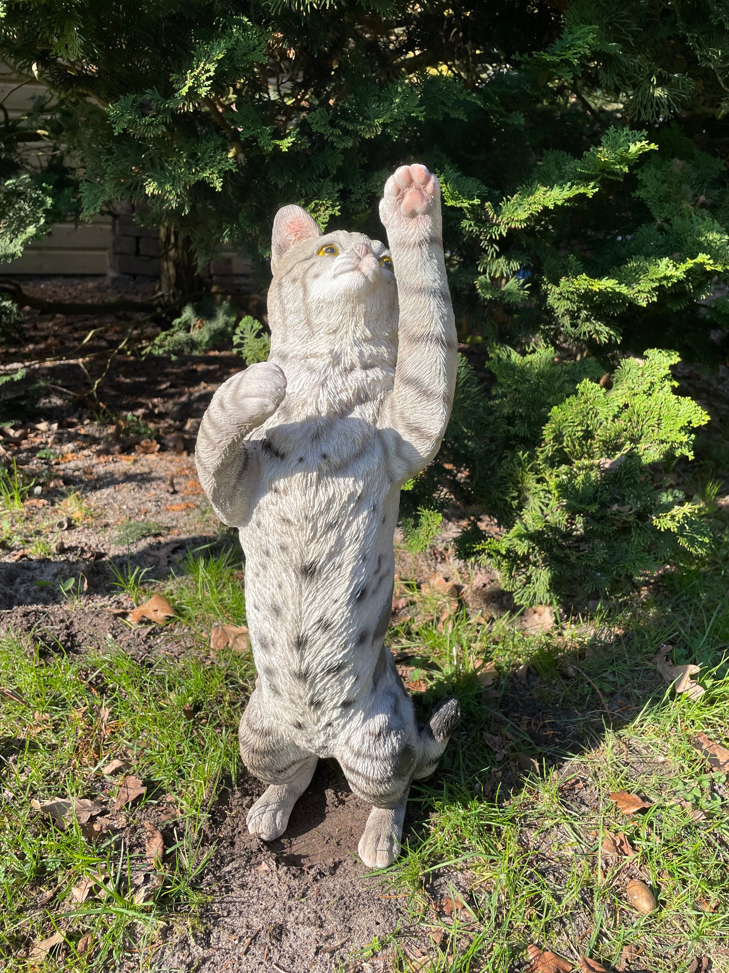 (Tuin)Beeld Poes, kat, tuin, gazon, kitten, boerderij 50cm