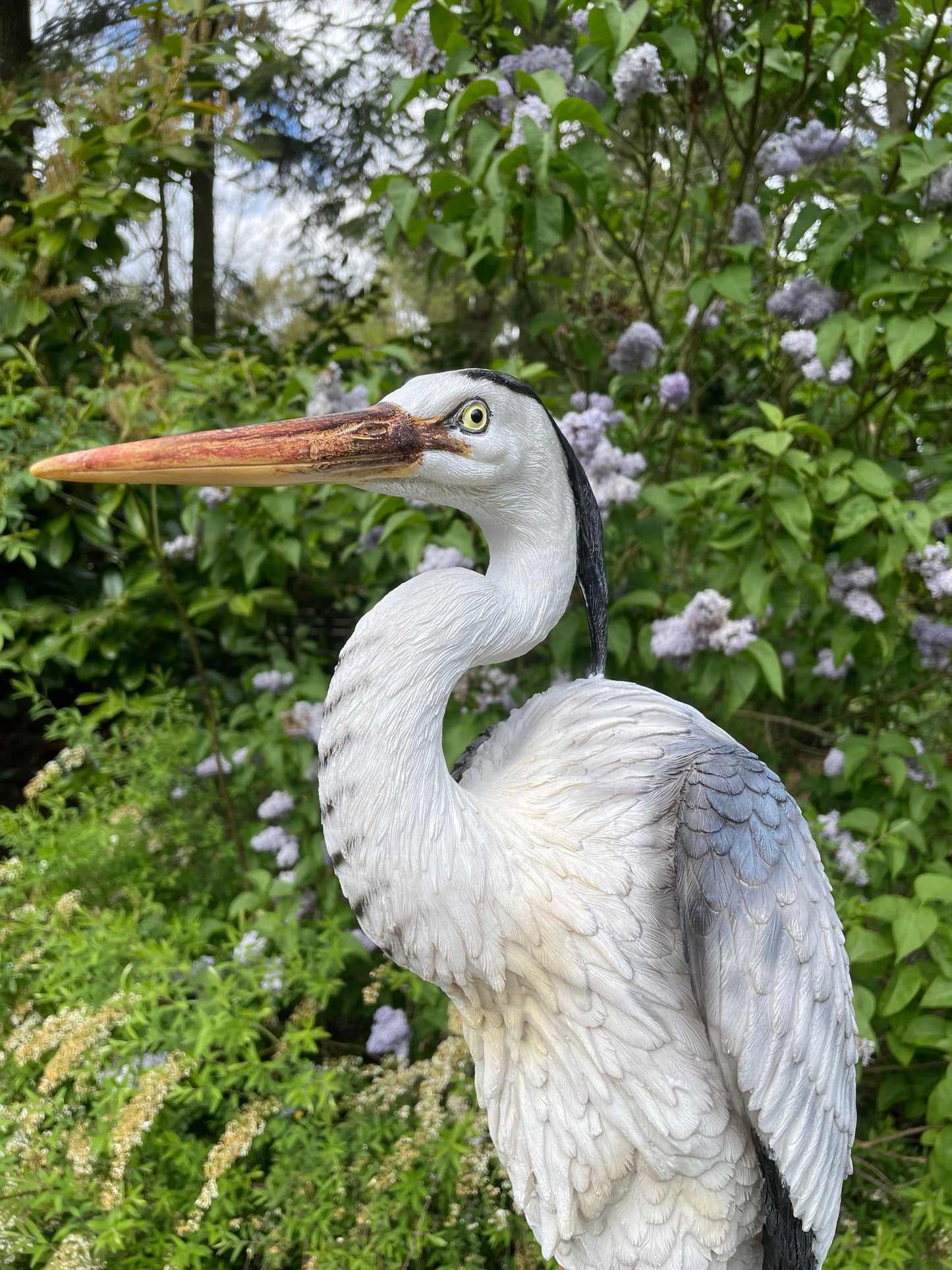 Beeld Reiger, gazon, tuin, vijver, dierentuin 80cm
