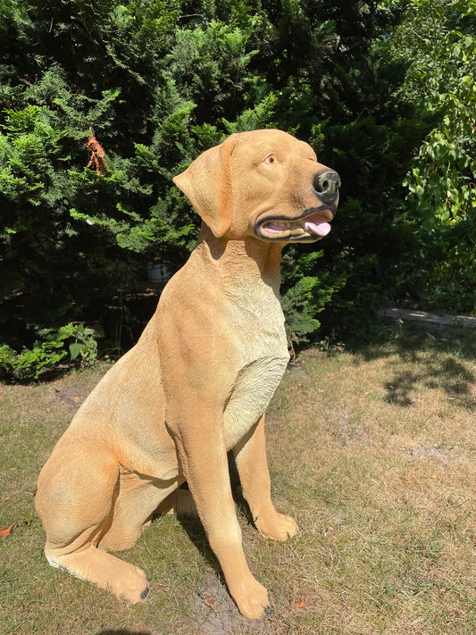 Beeld hond labrador,  Golden Retriever licht goud 80cm