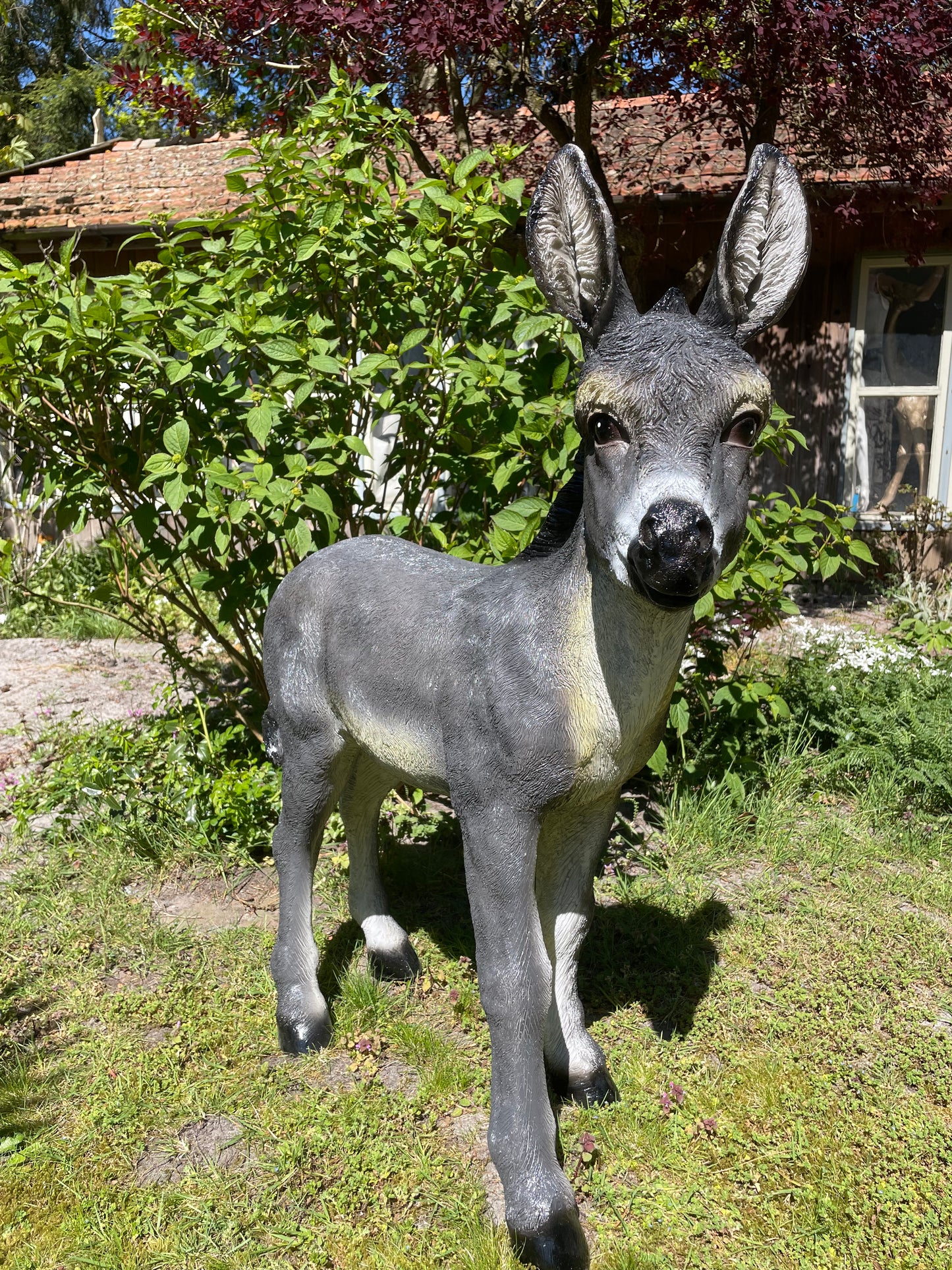 Ezel grijs, tuin, boerderij, vijver, dierentuin 100cm