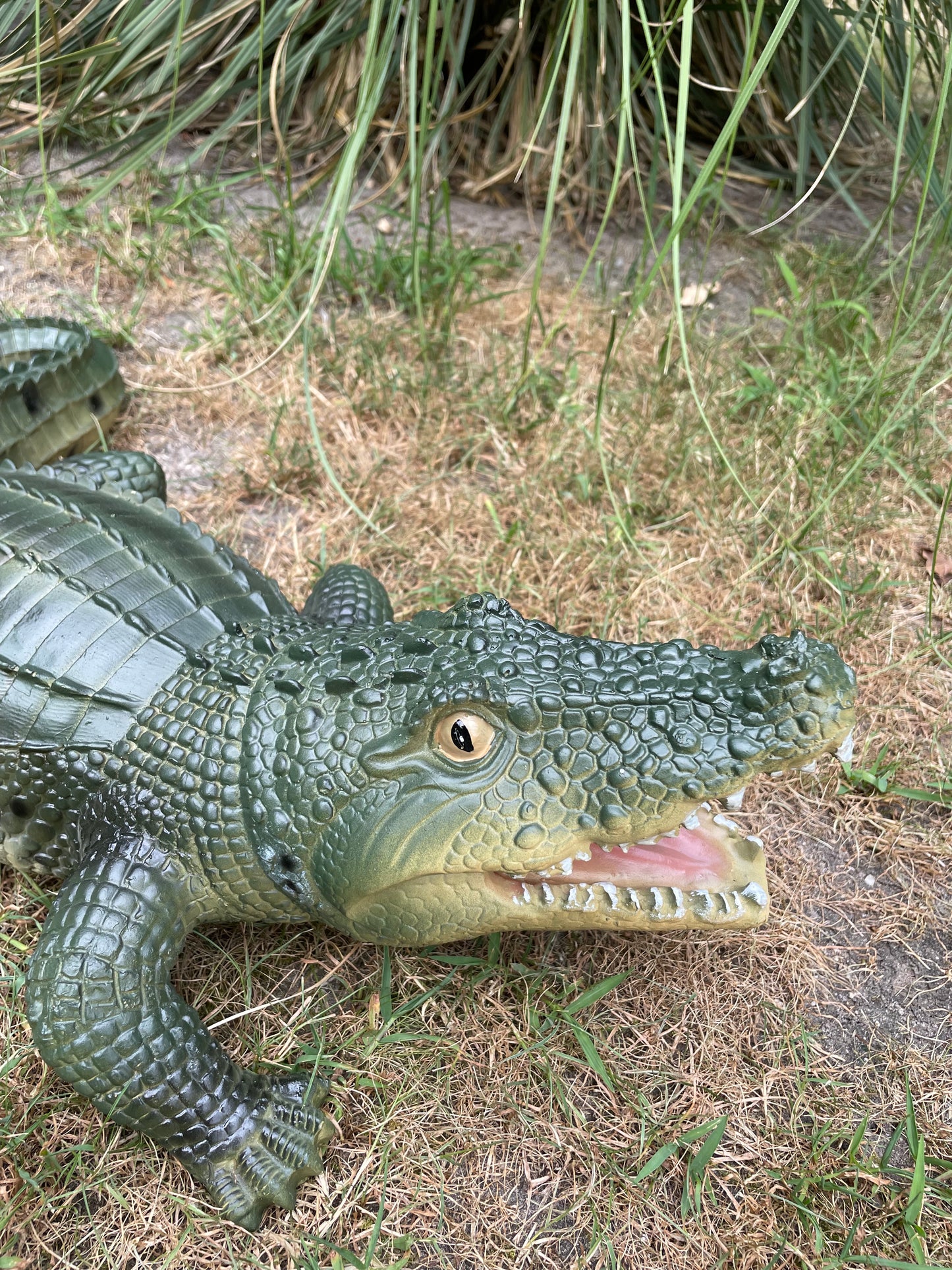 Beeld krokodil tuin, gazon, dierentuin, boerderij 60cm