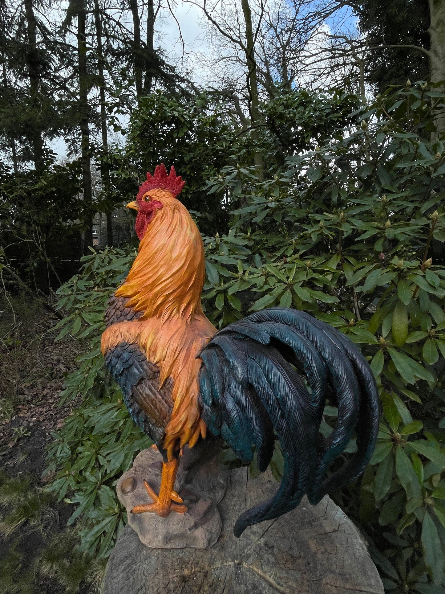Beeld Haan, tuin, vijver, gazon, boerderij 35cm