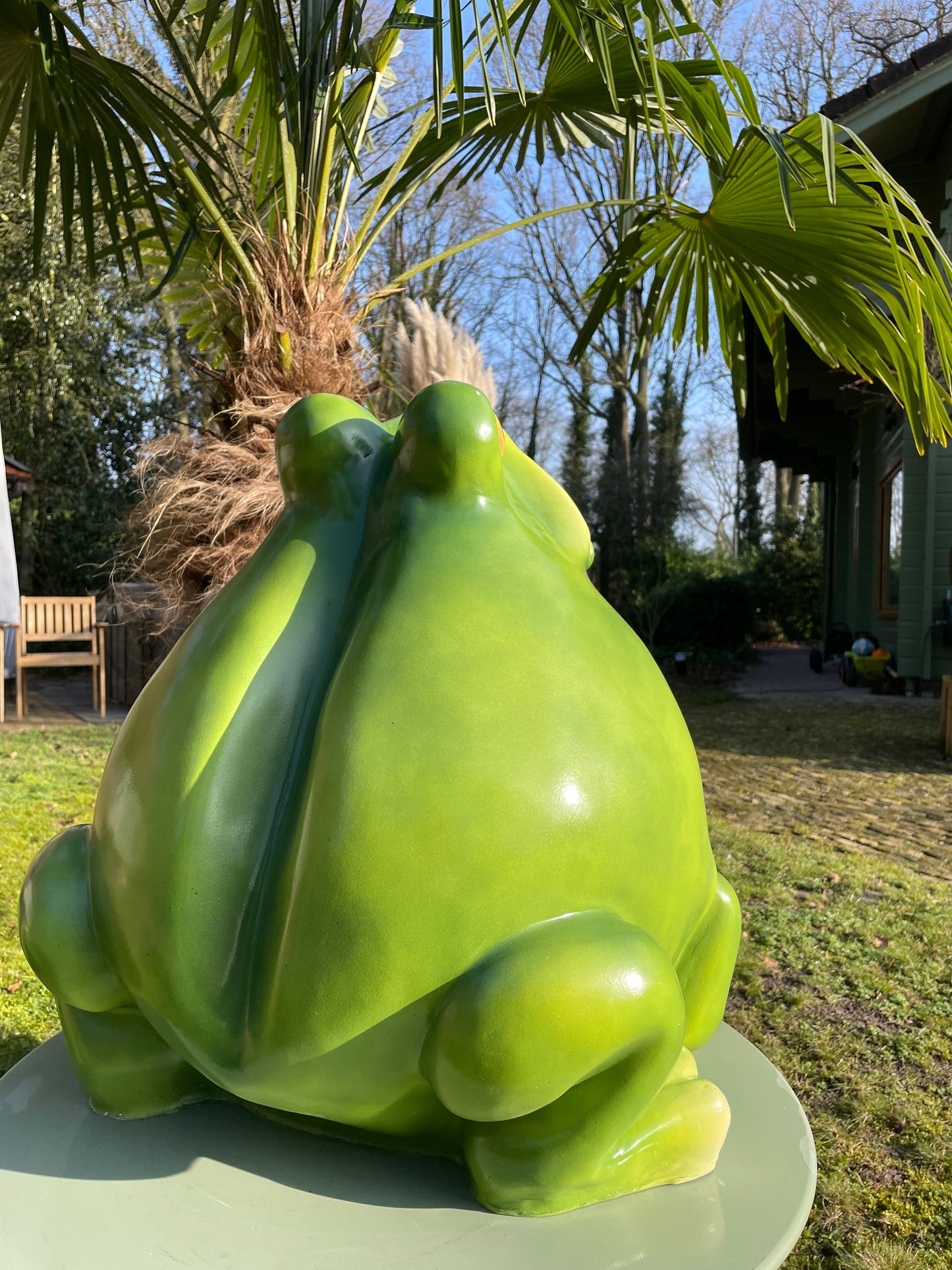 Beeld kikker, tuin, vijver, gazon, boerderij 55cm