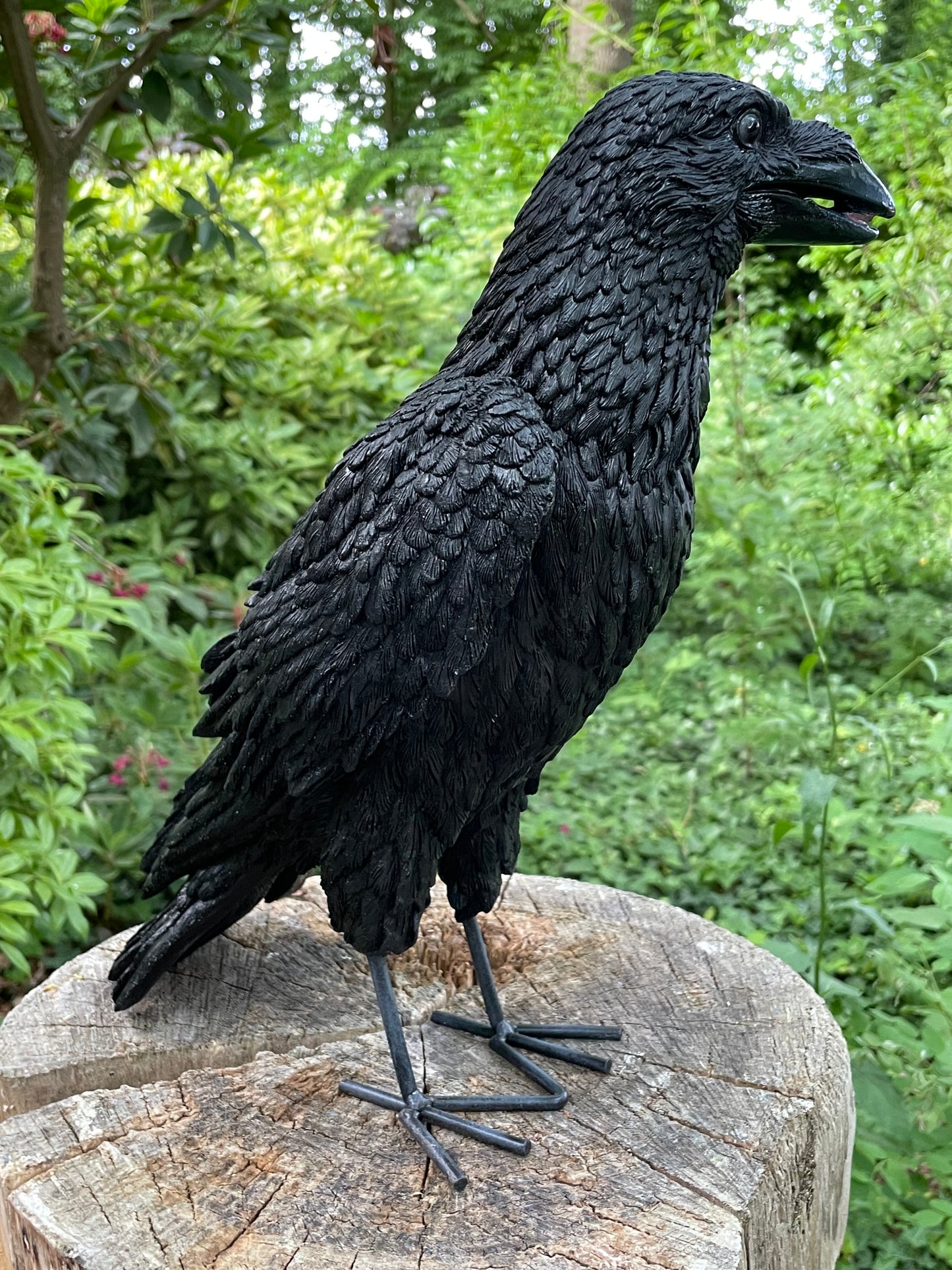 Kraai, Raaf, gazon, tuin, boerderij 35cm