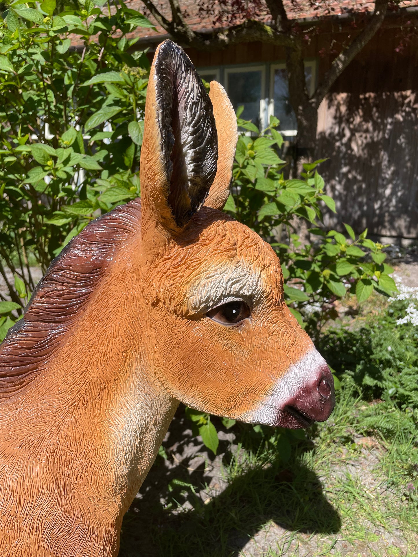 Ezel bruin, tuin, boerderij, vijver, dierentuin 100cm