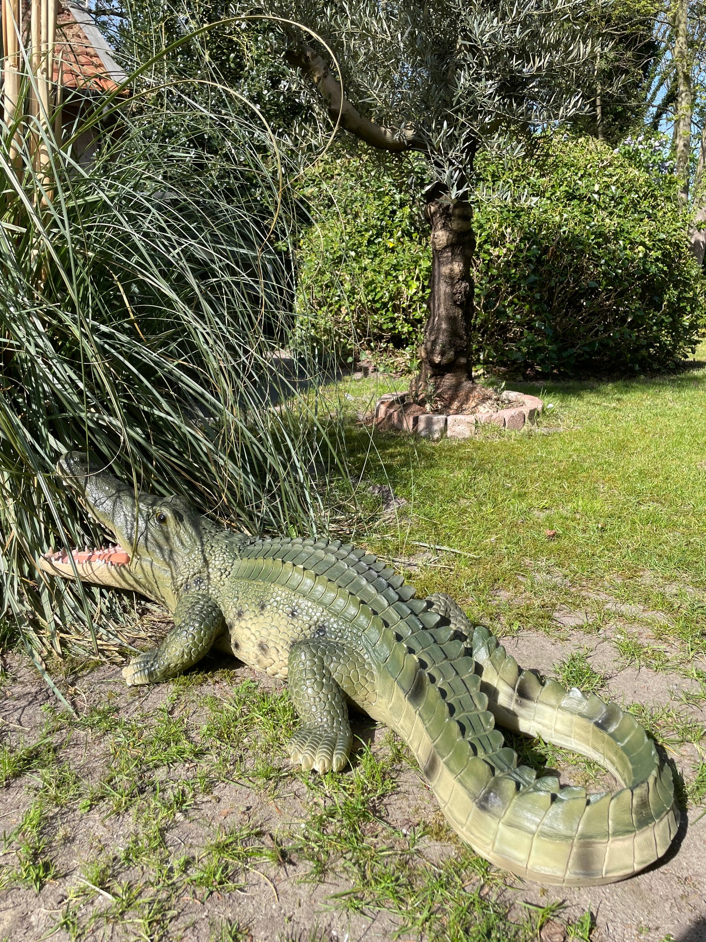 Beeld krokodil, Groen, zwembad, vijver, boerderij 100cm
