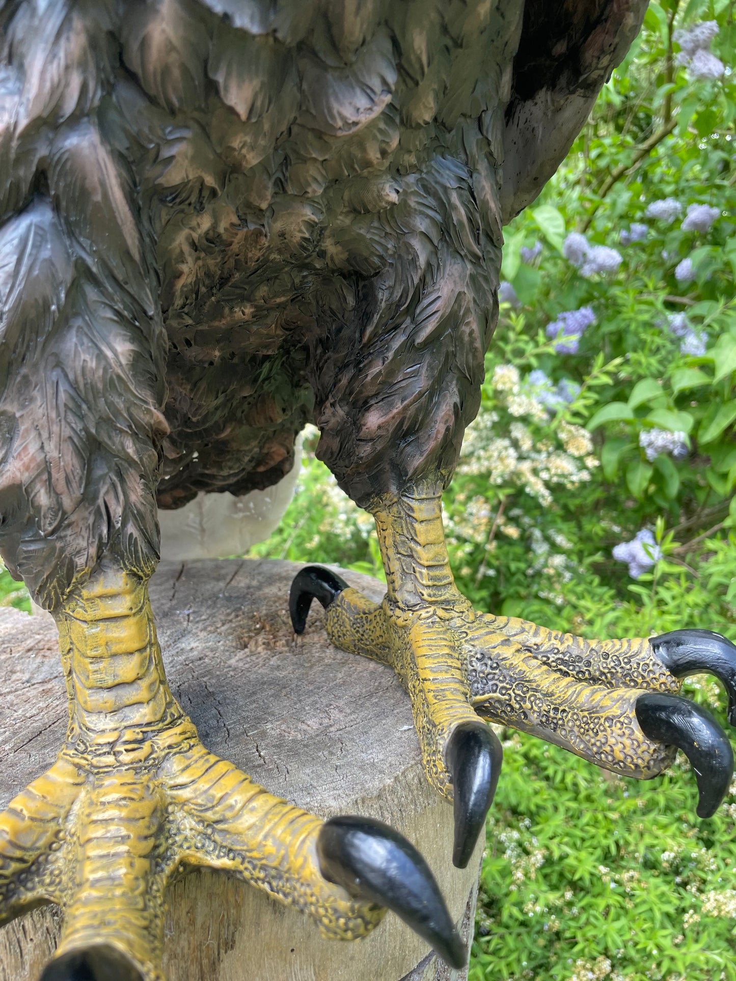 Beeld Arend groot, gazon, tuin, vijver, dierentuin 55cm