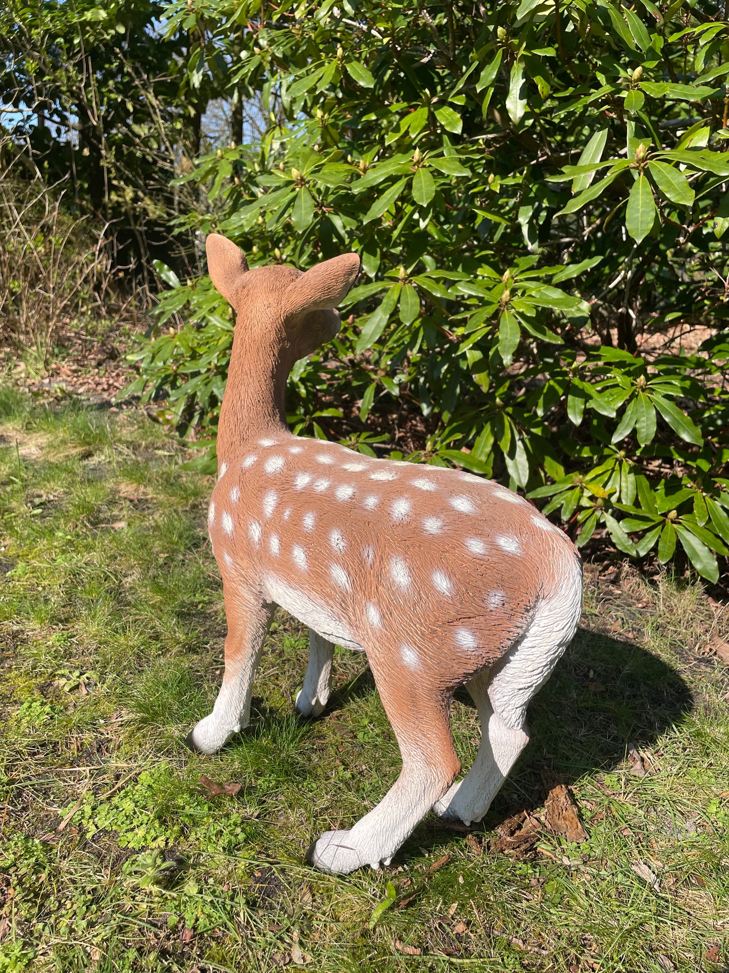 Beeld Hert, tuin, bos, gazon, boerderij 50cm