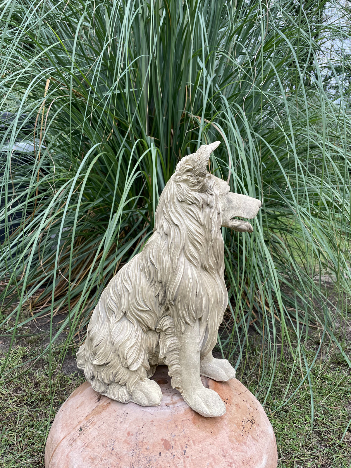 Collie Lassie hond 45cm