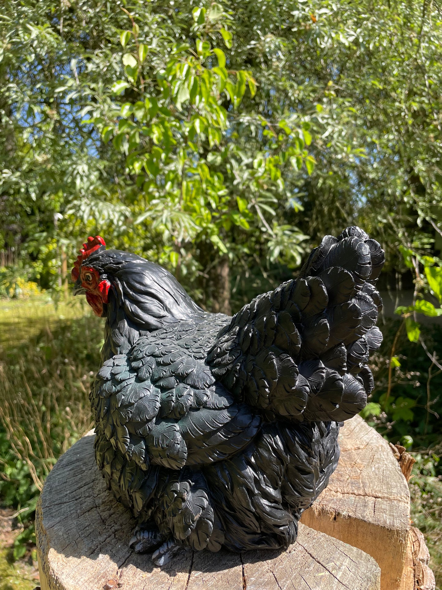 Beeld kip, zwart, tuin, vijver, gazon, boerderij 30cm