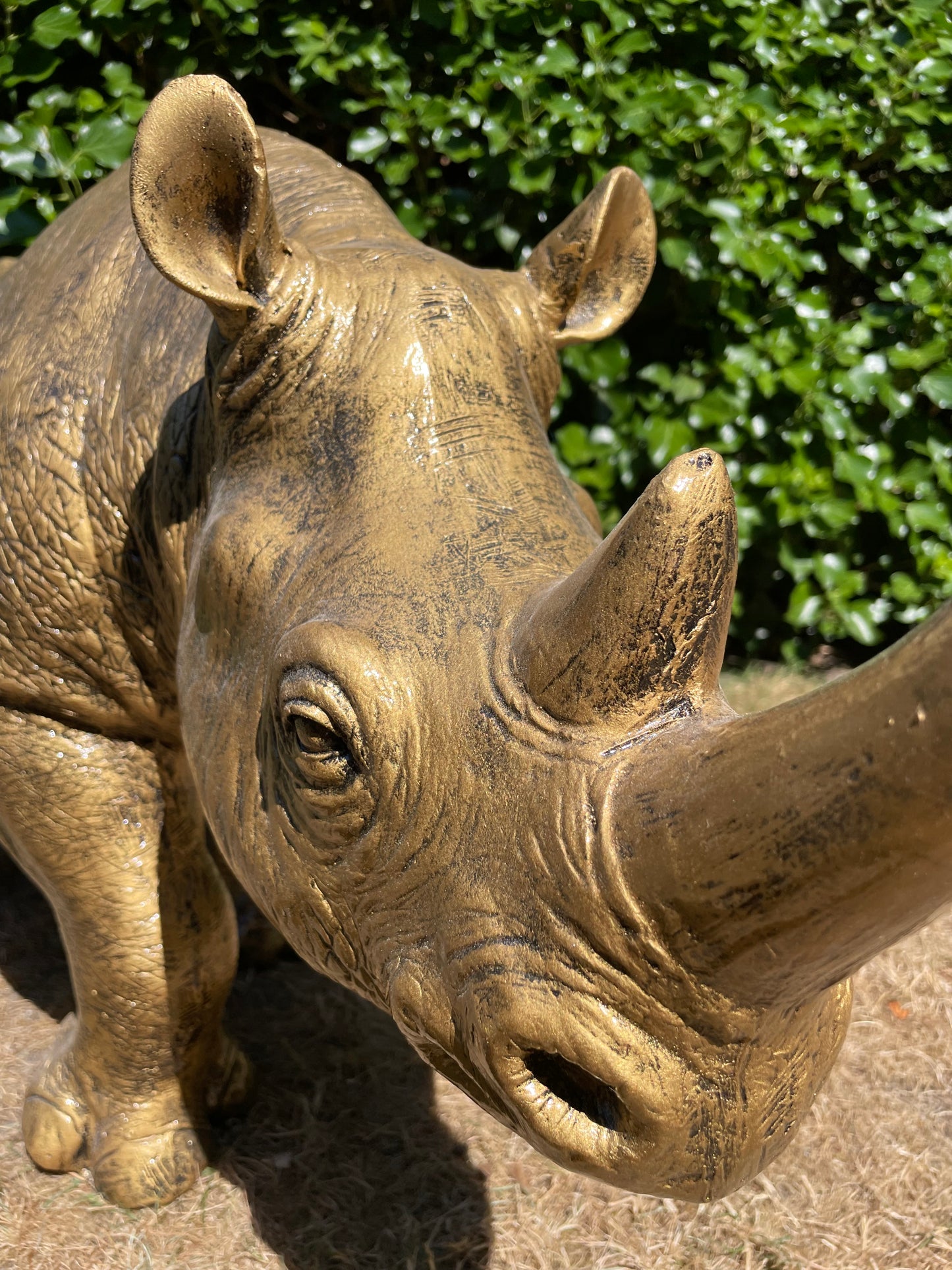 Beeld Neushoorn, vijver, zwembad , tuin 100 cm