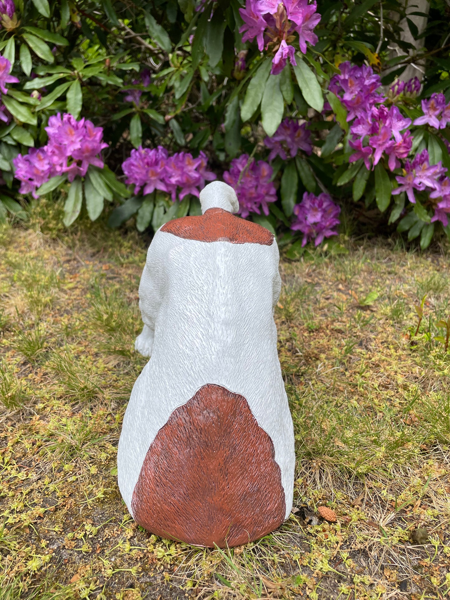 Beeld Jack Russel hond wit/bruin tuin, gazon, boerderij 30cm