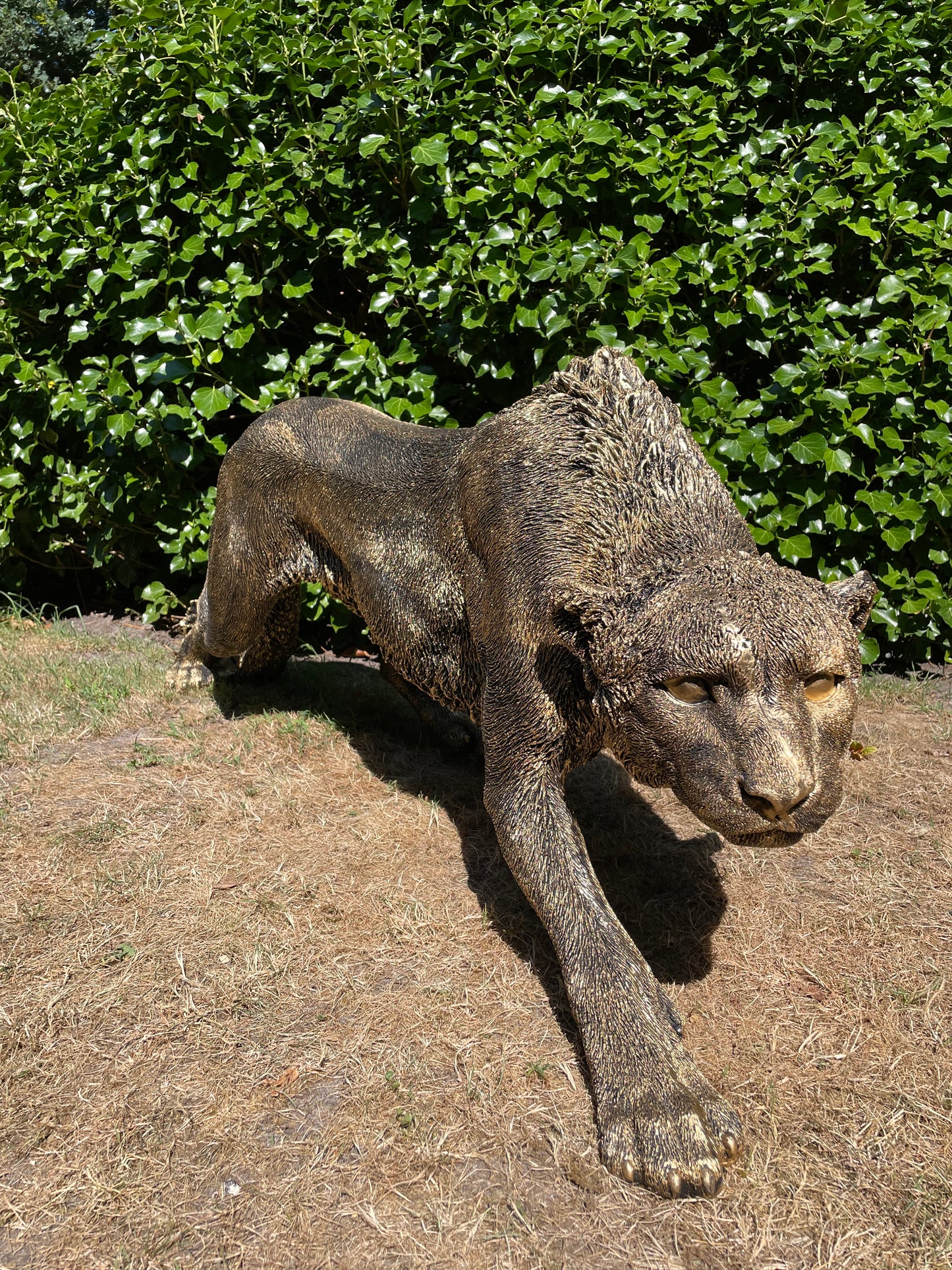 Panter sluipend antiek goud gazon, tuin, dierentuin, 125 cm