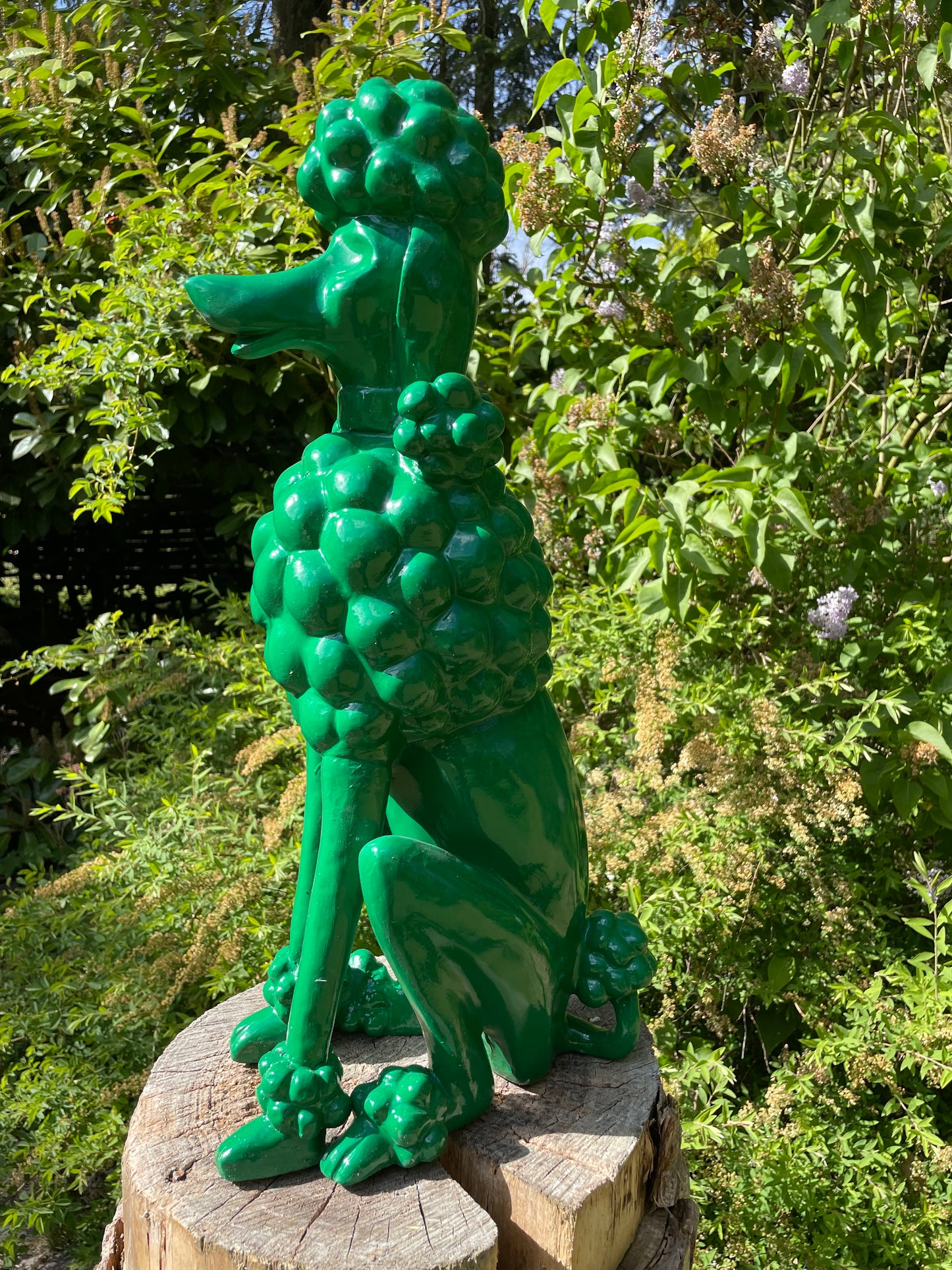 hond poedel abstract Groen, tuin, gazon  60cm
