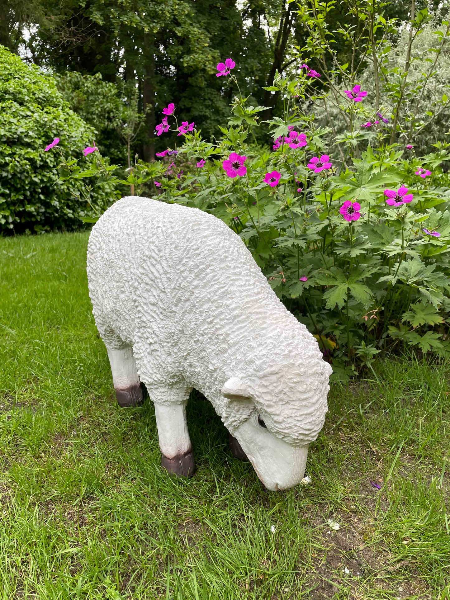 Set Merino wolschapen, gazon, tuin, boerderij 70-65cm