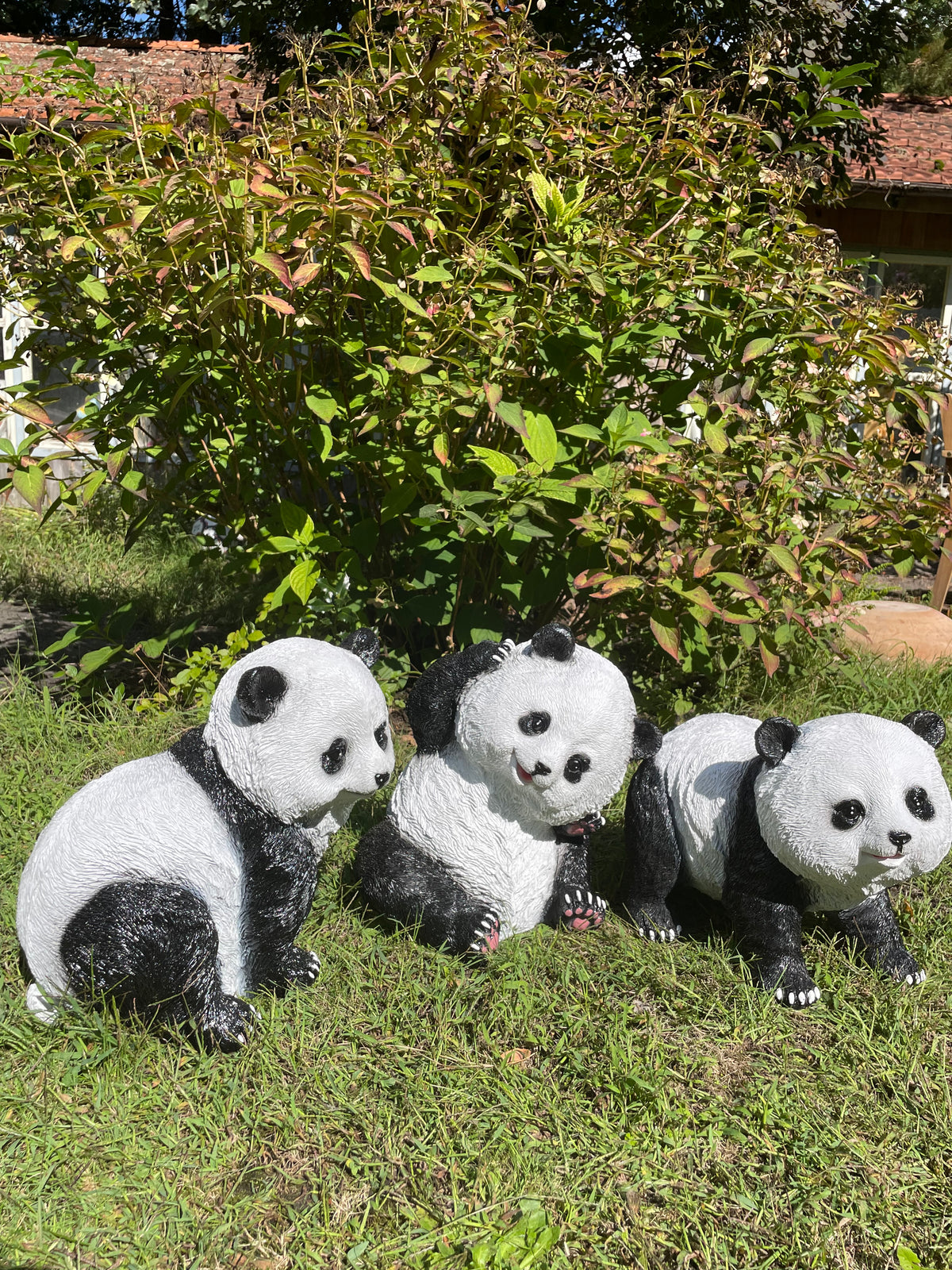 Panda lopend 50cm