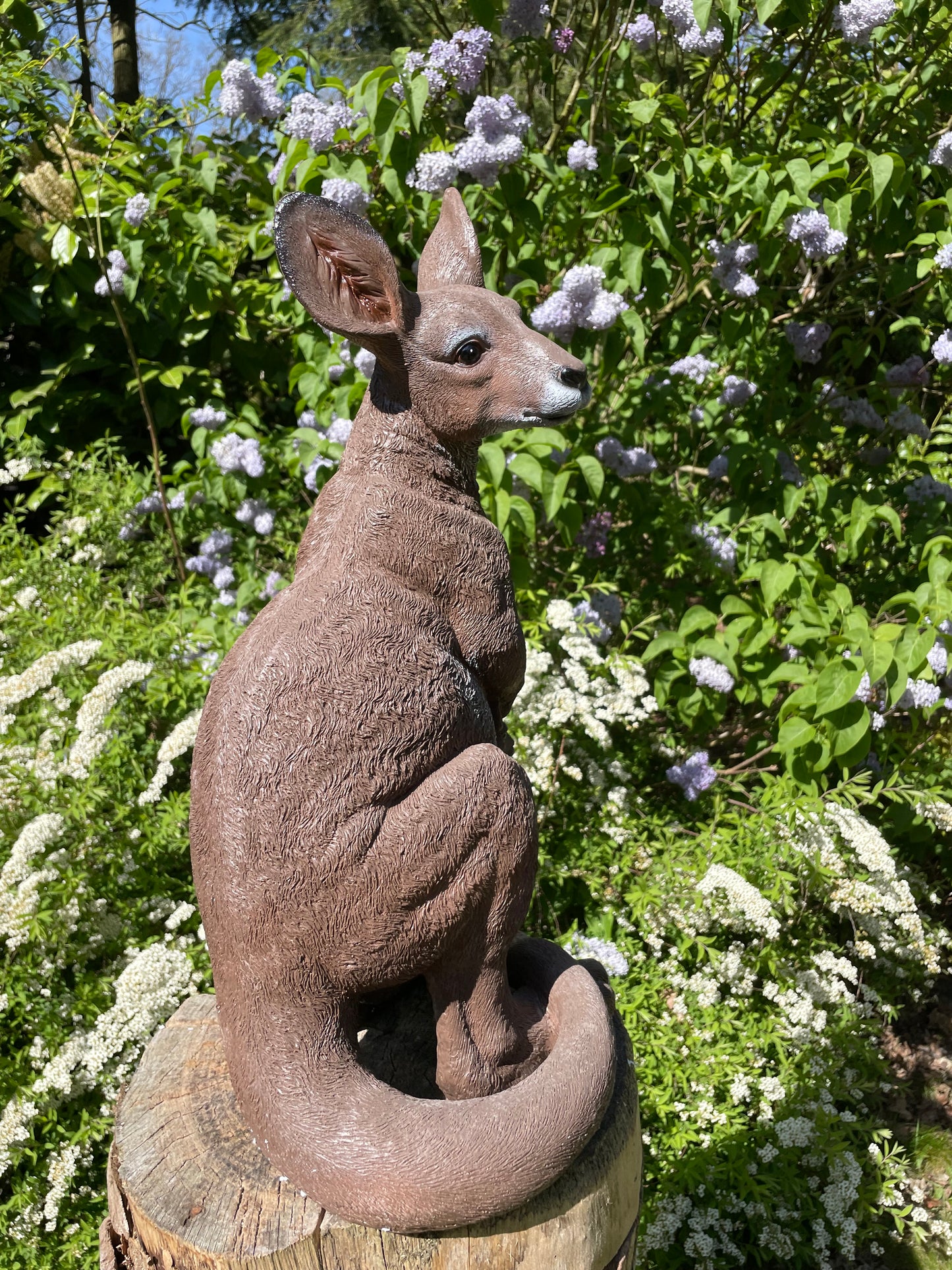 Beeld Kangoeroe groot tuin, vijver, boerderij, dierentuin 90cm