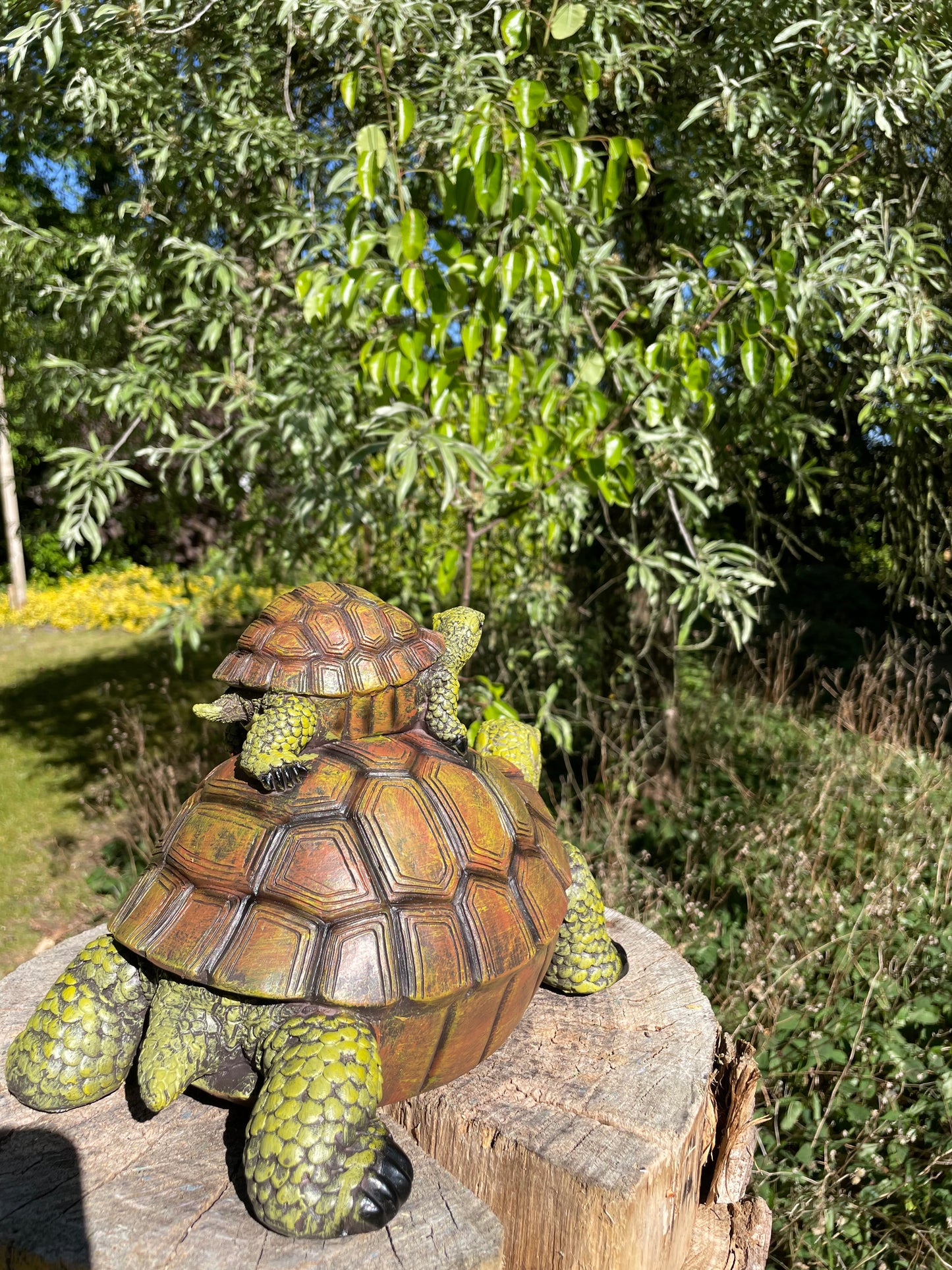 Baby schildpad, gazon, tuin, vijver, 30 cm