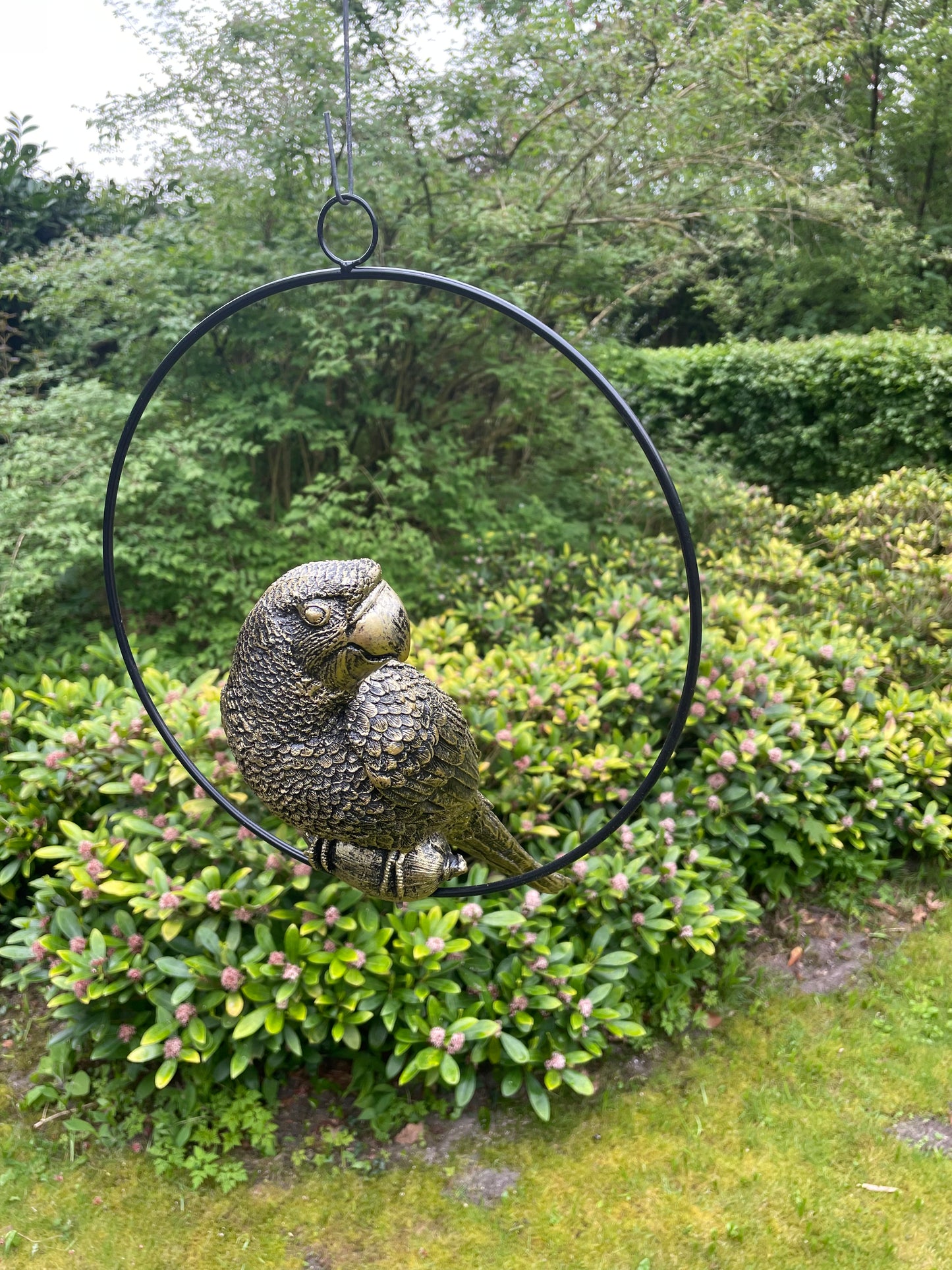 Beeld papegaai Goud tuin, zwembad, vijver, balkon 35cm